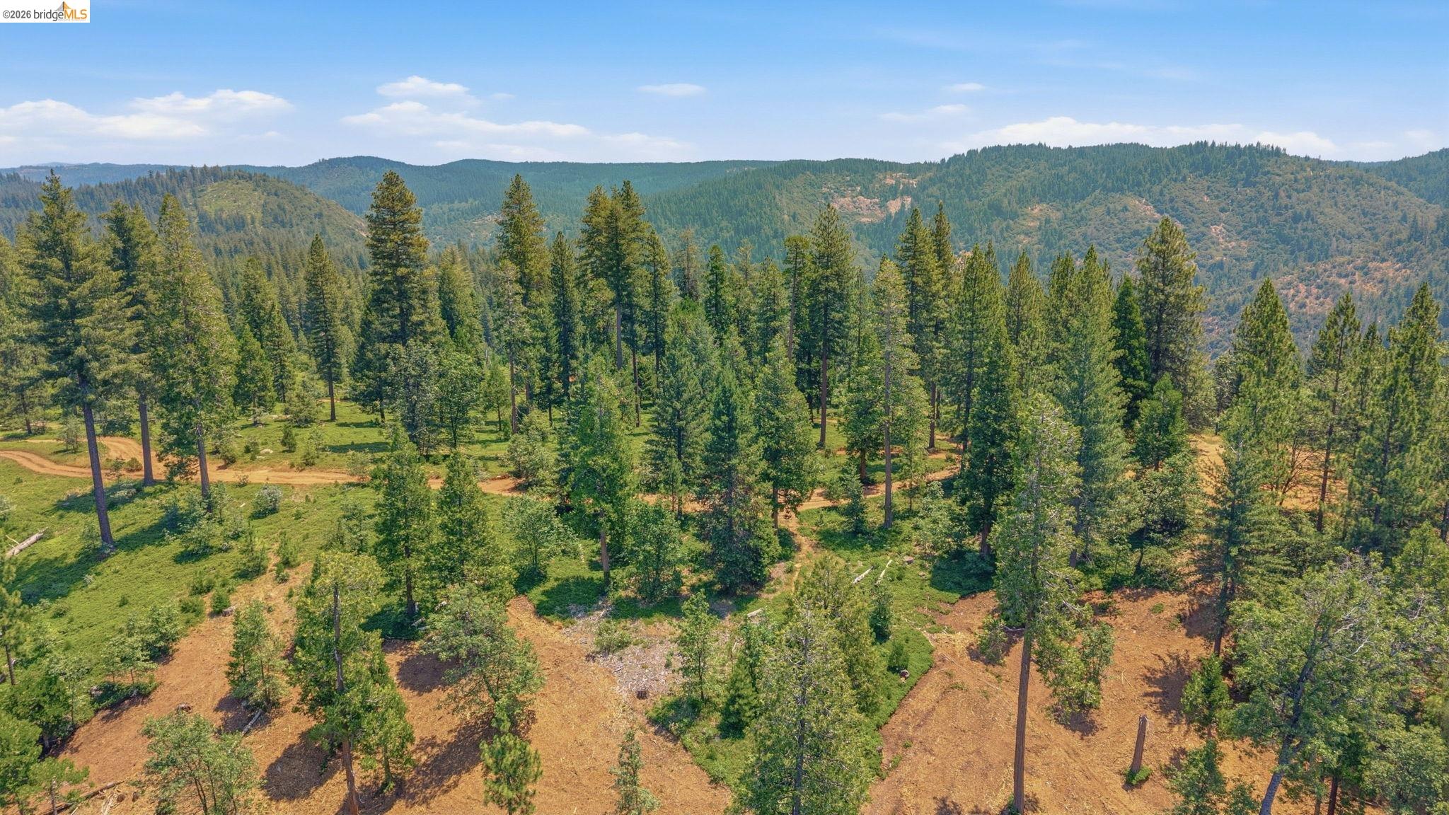 24223 Kalanu Pl