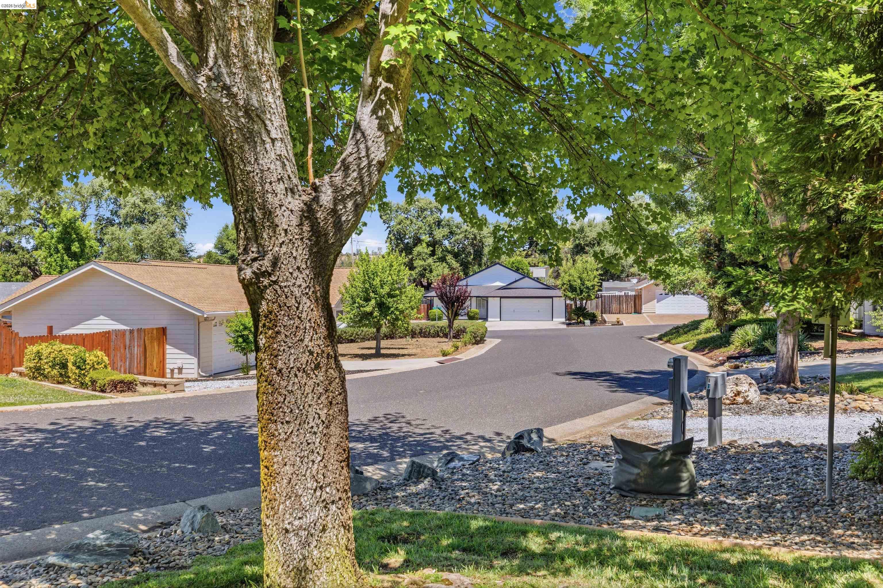 10597 River oak