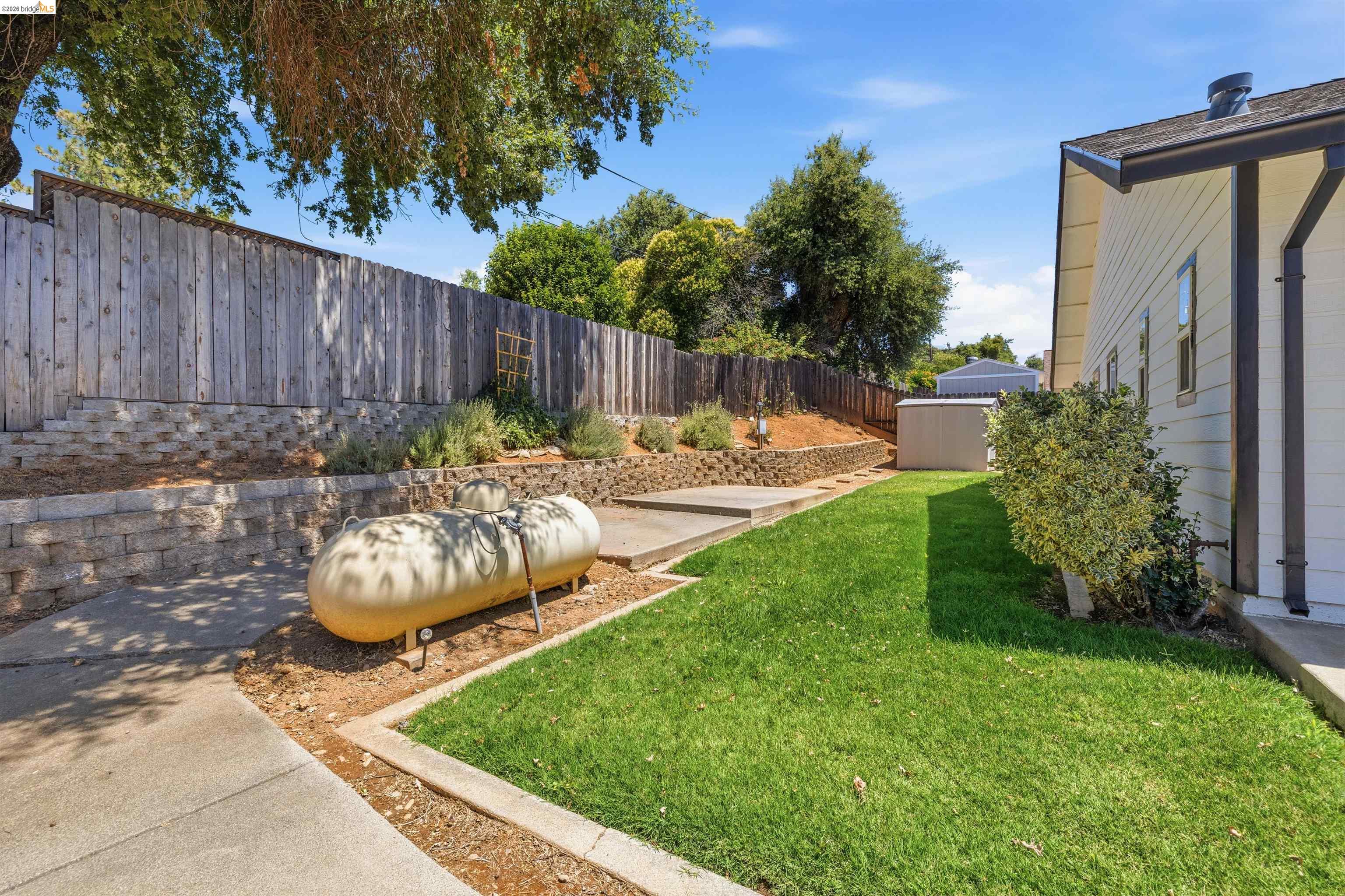 10597 River oak