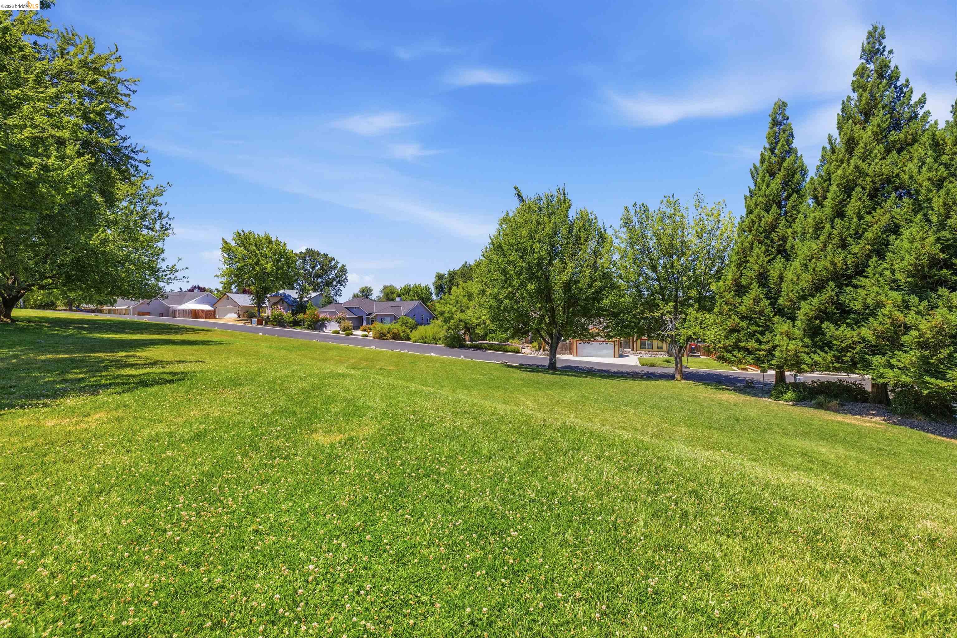 10597 River oak