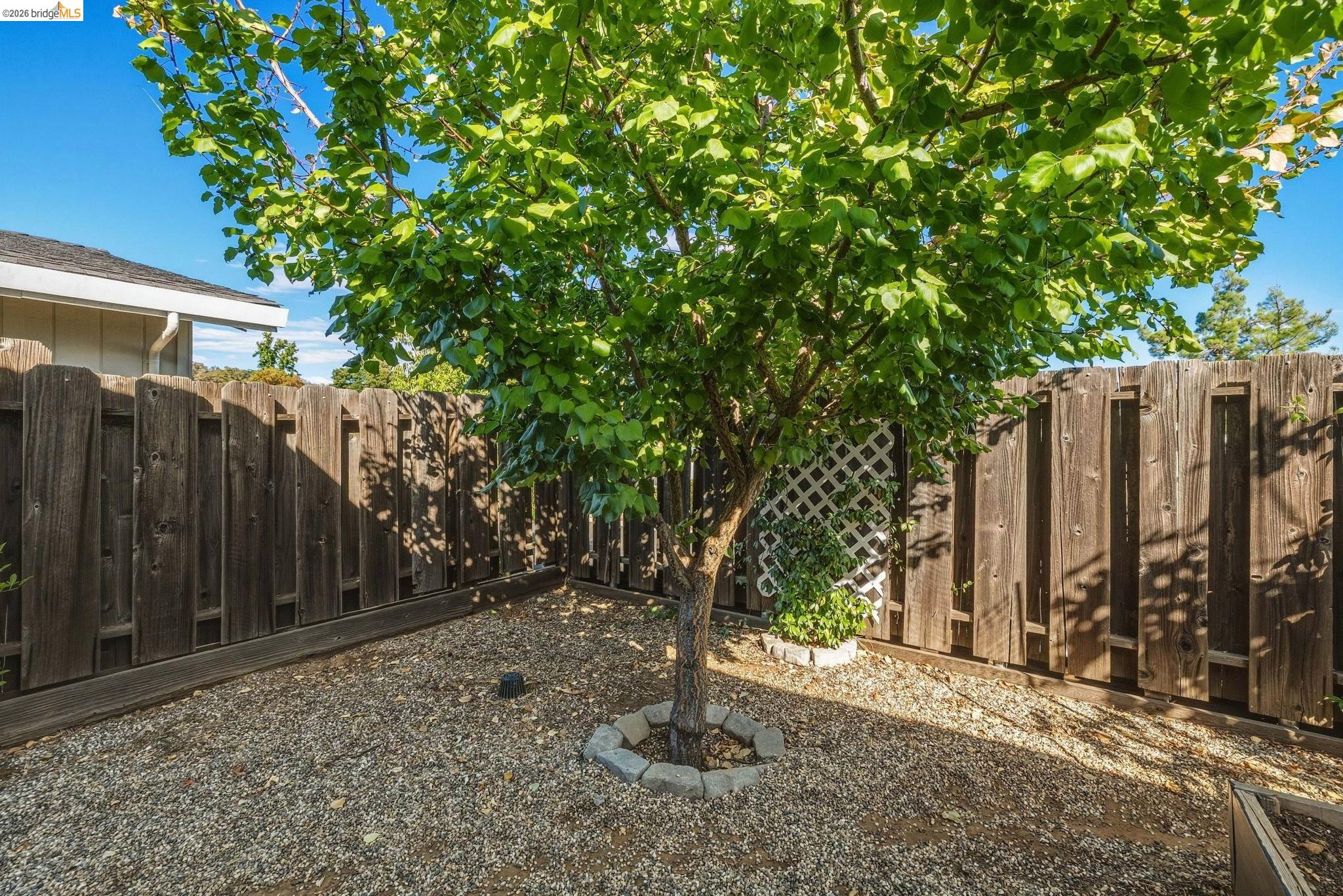12660 Red Chestnut Ln #11 SPC 11