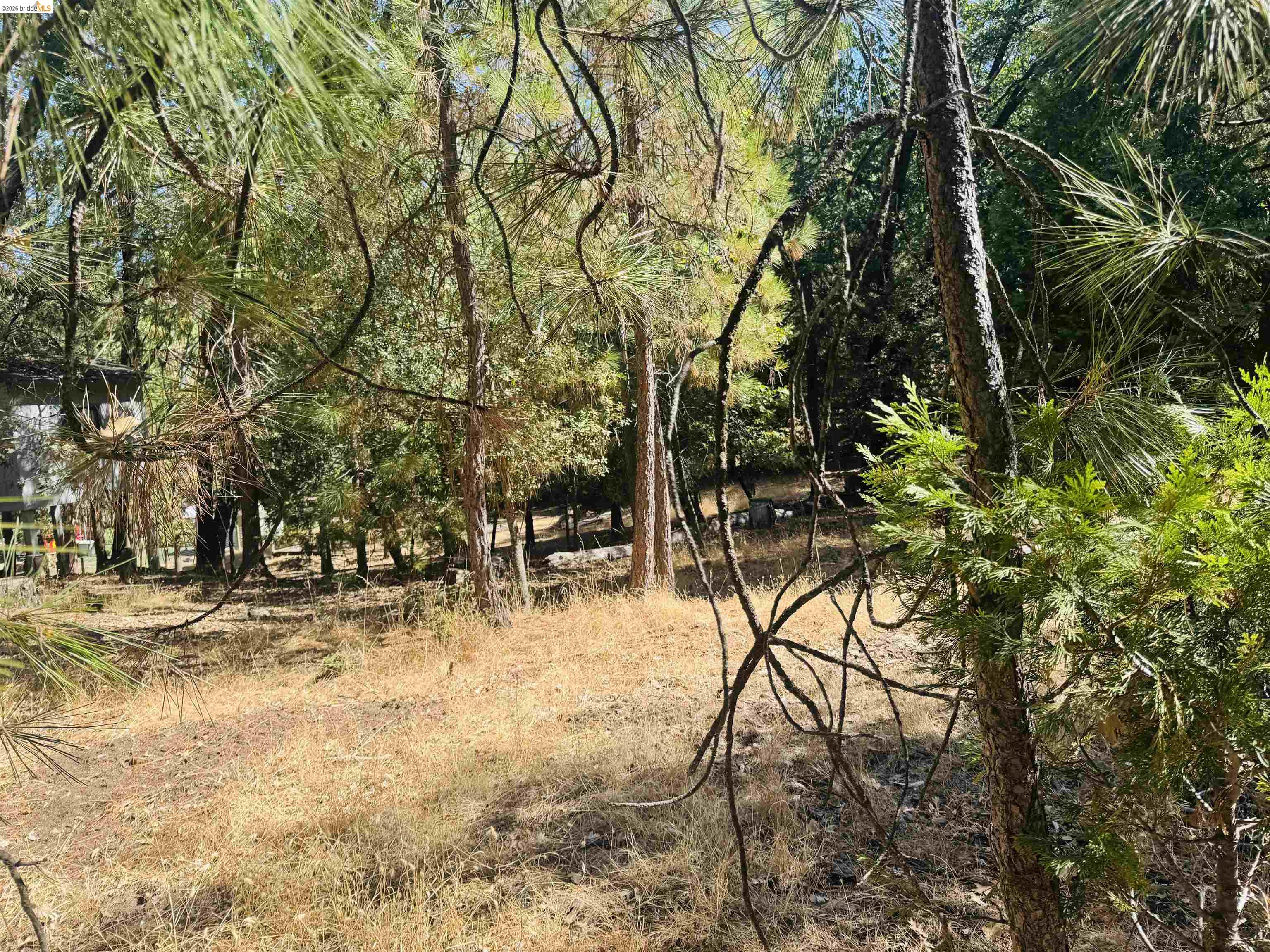 0 American River