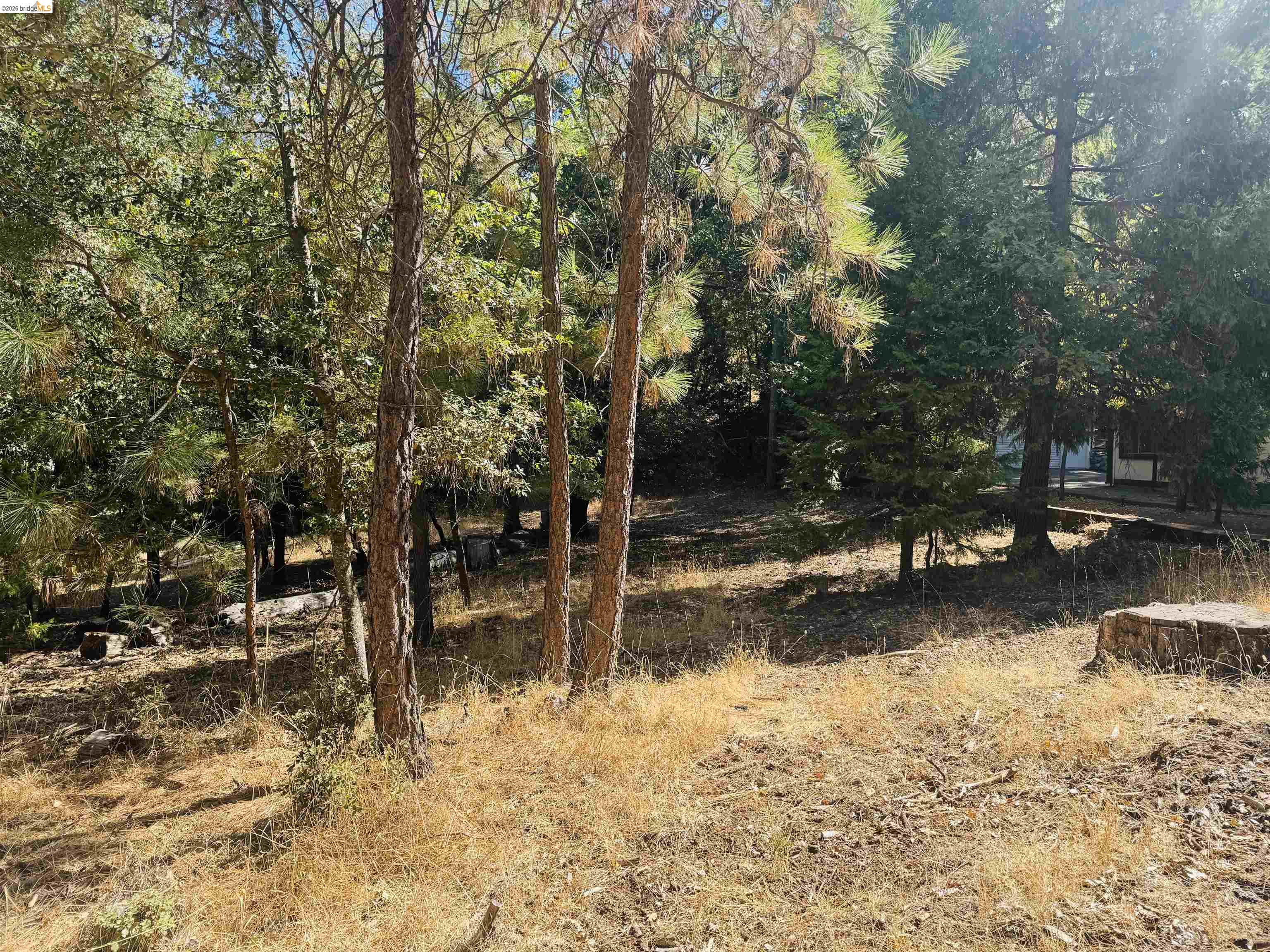 0 American River