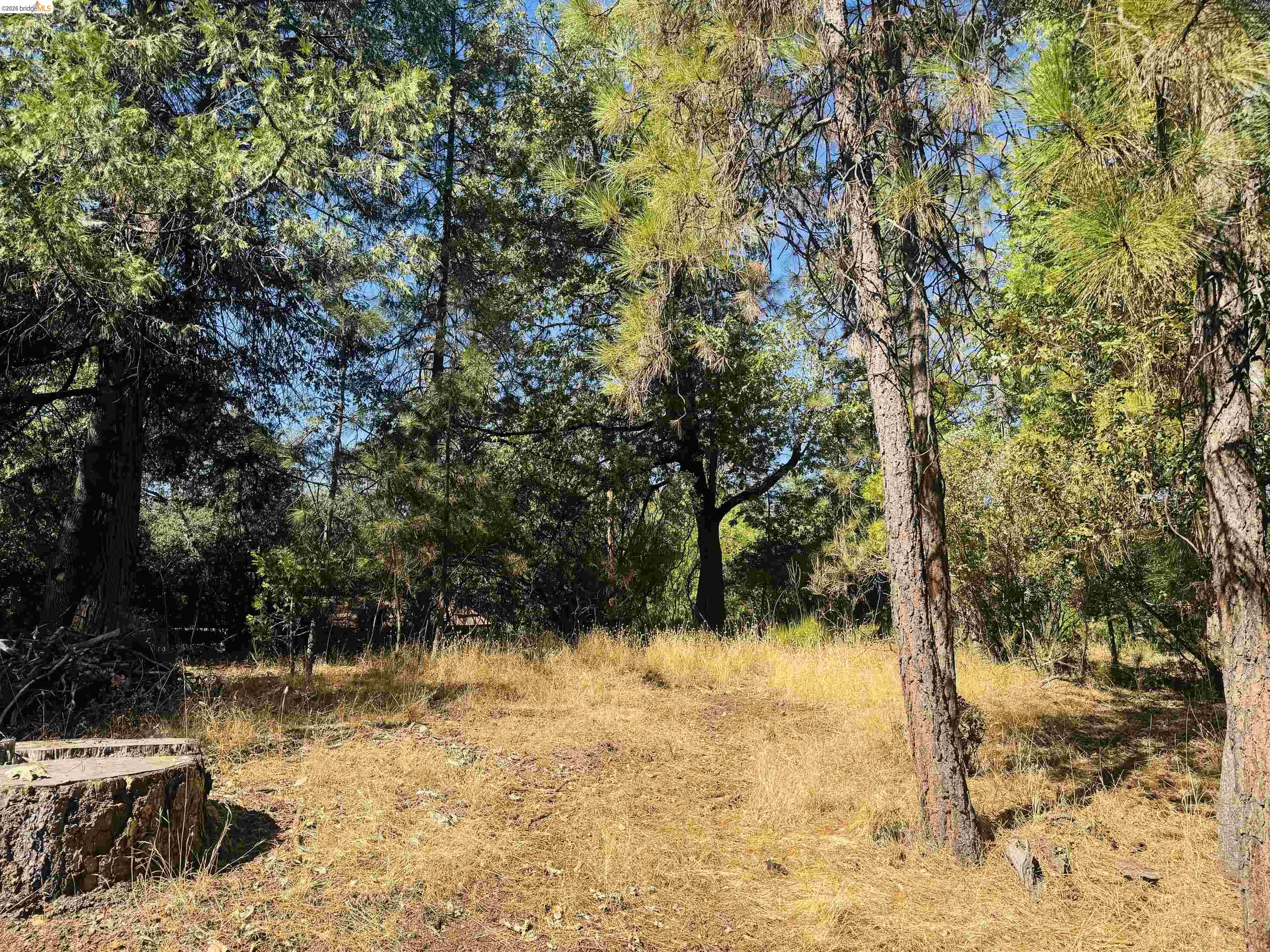 0 American River