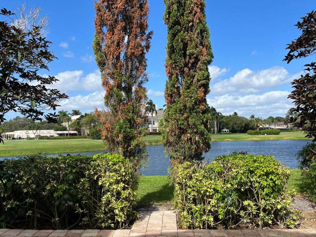 5771 Lakeview Mews Place