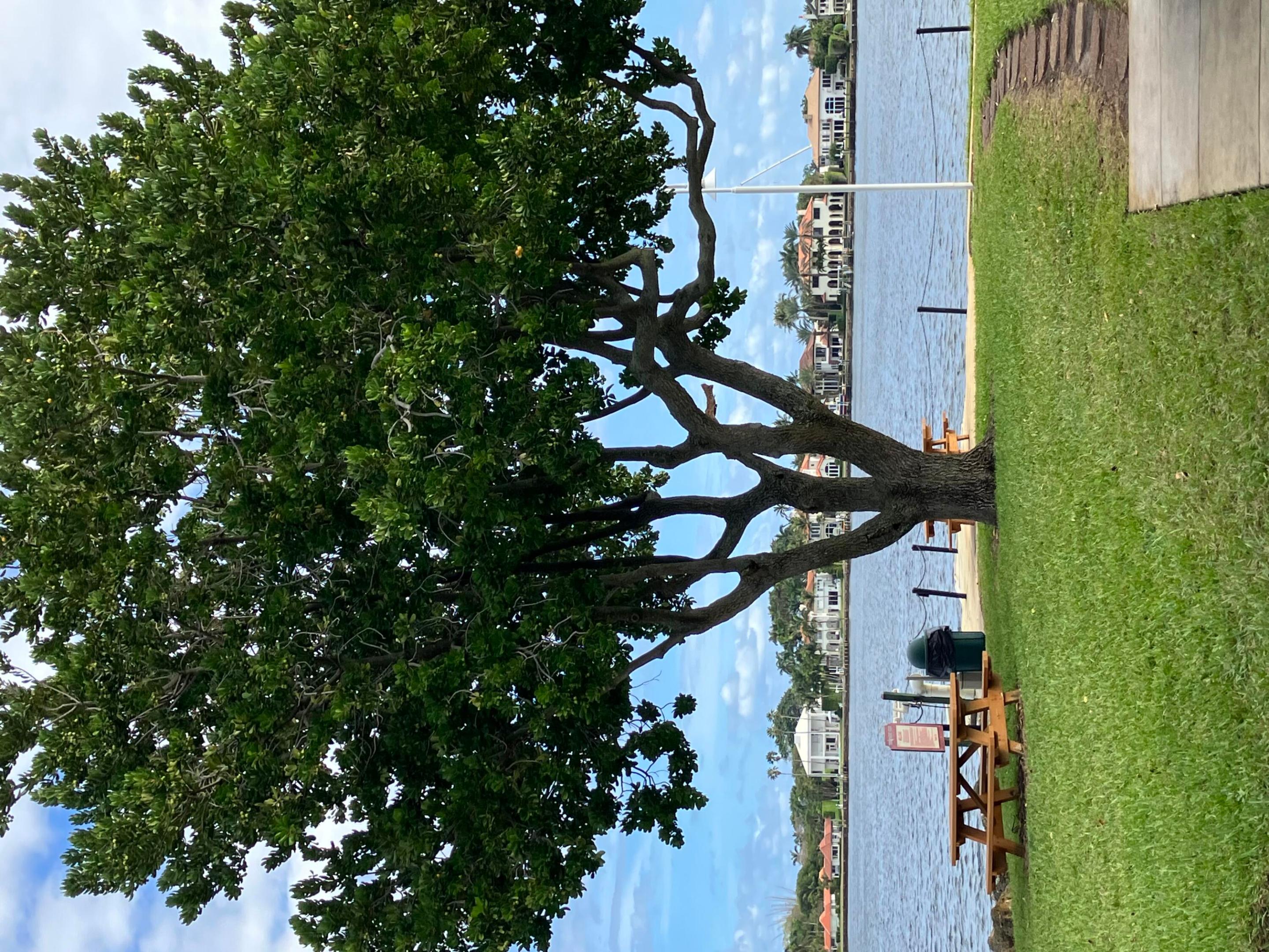 180 Yacht Club Way Unit: 102