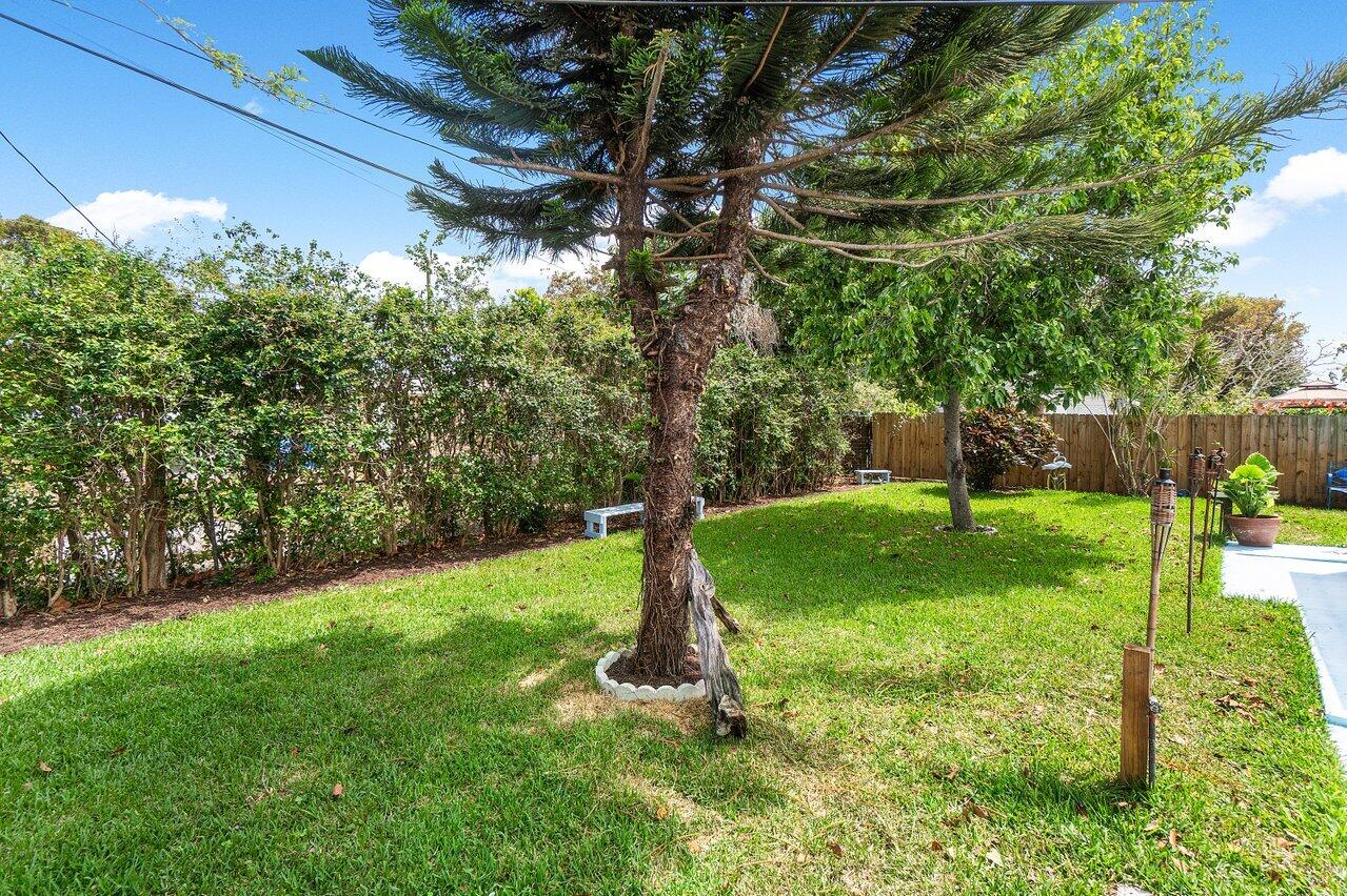 58 Tortuga Road