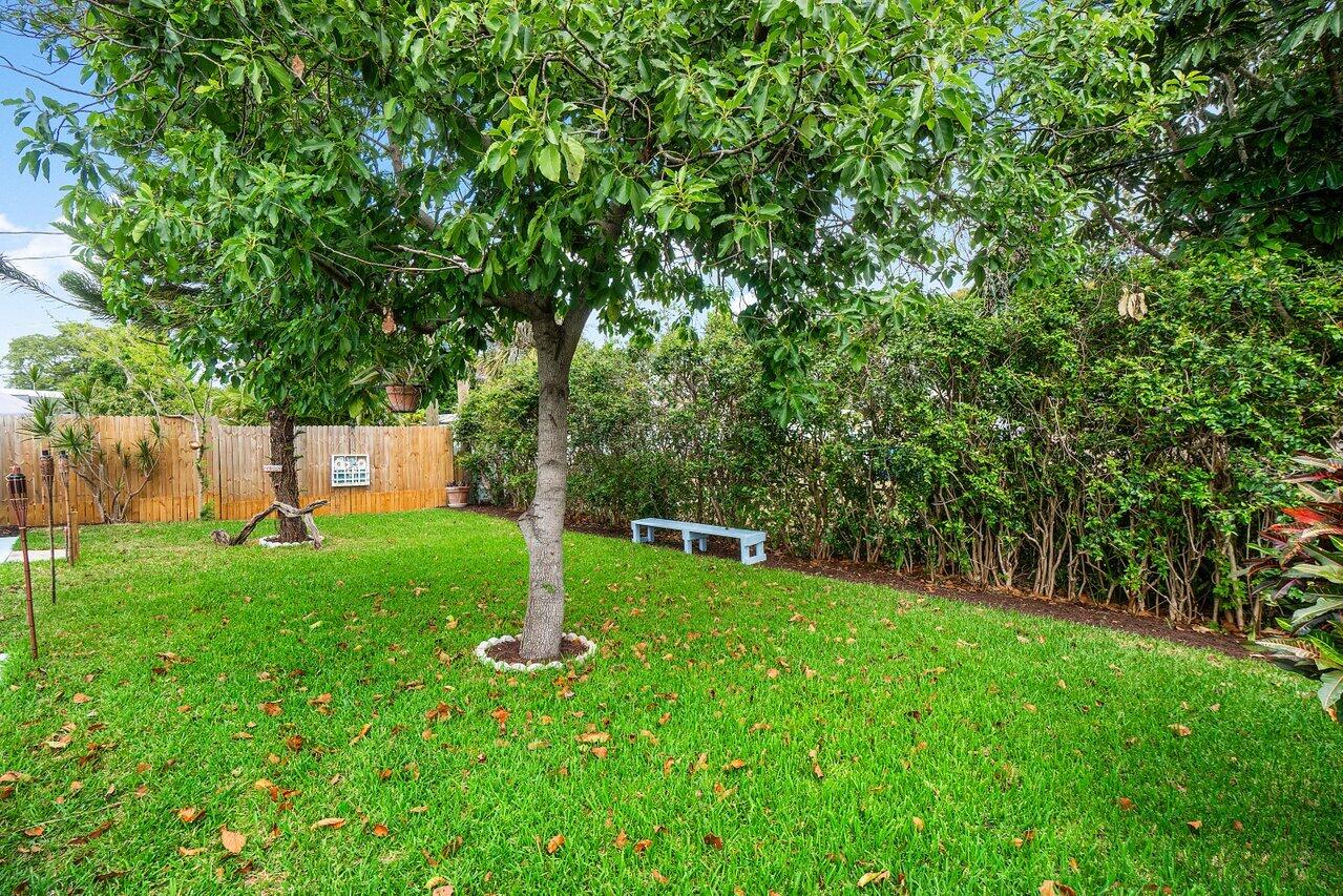 58 Tortuga Road