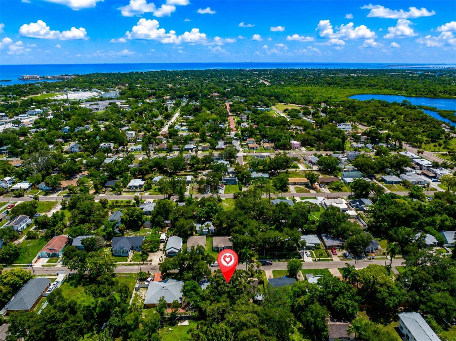 Aerial view of a leafy neighborhood with water on the horizon and a marker identifying the property.