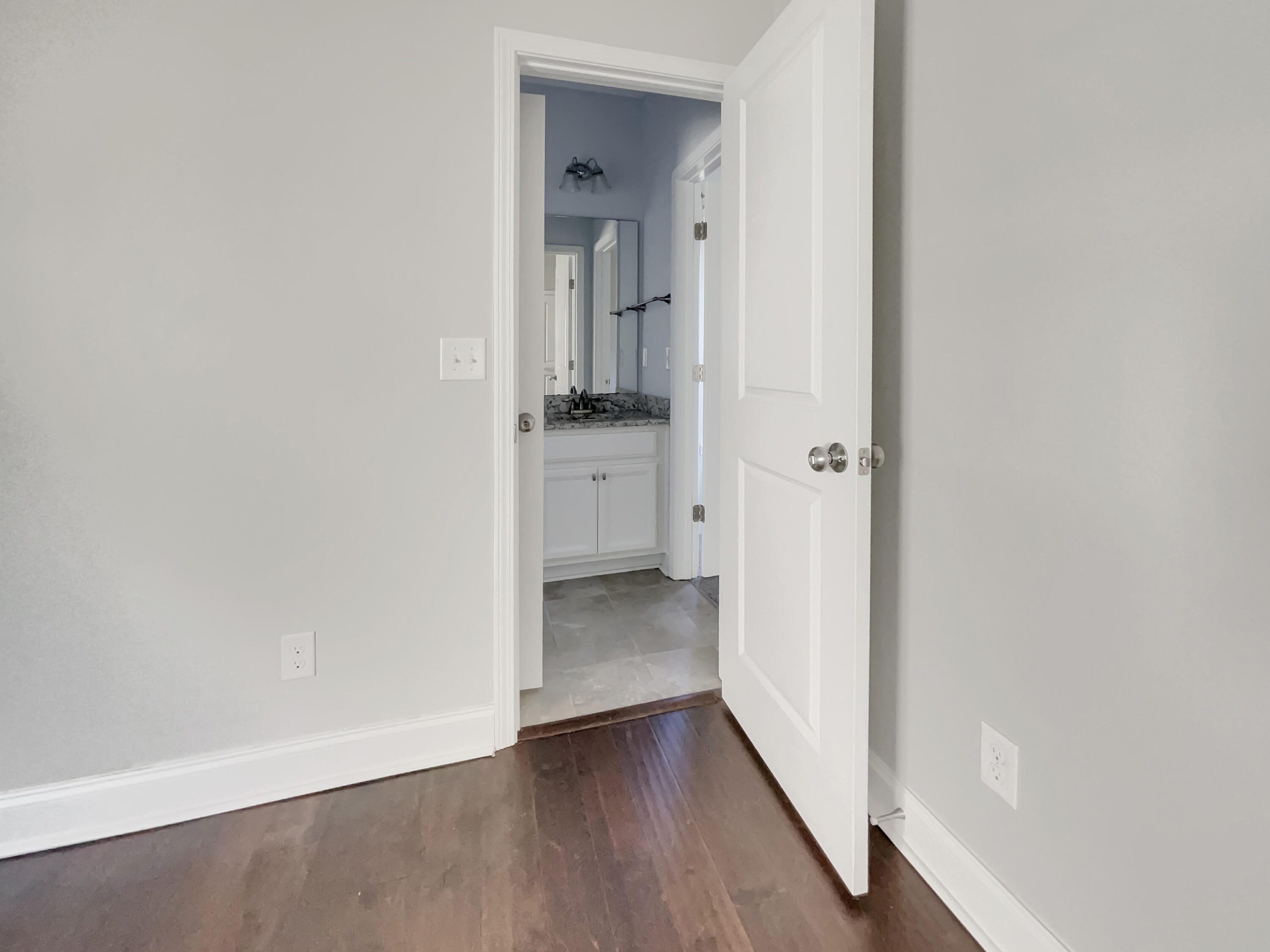 253 Palmetto Walk Drive