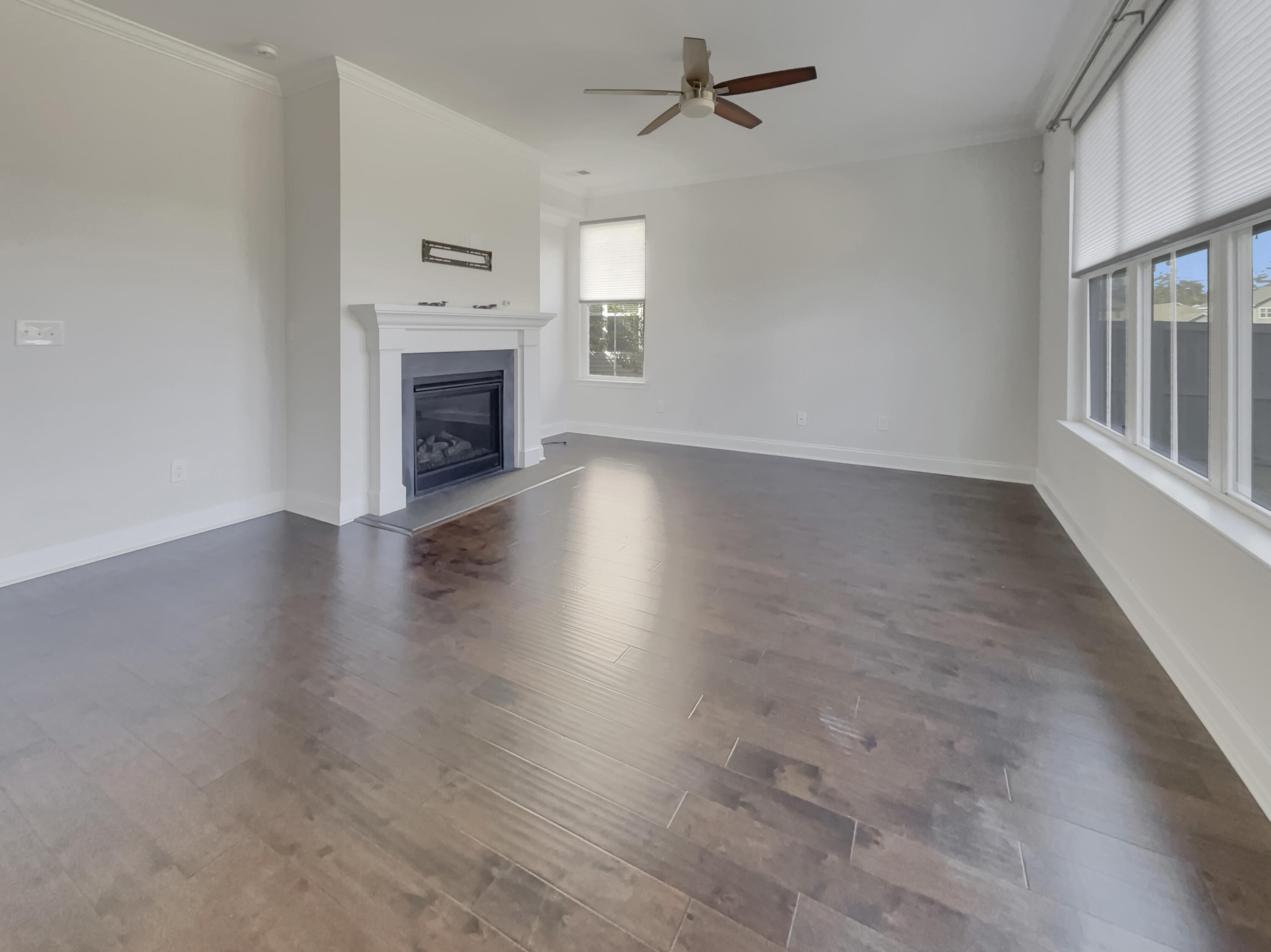 253 Palmetto Walk Drive