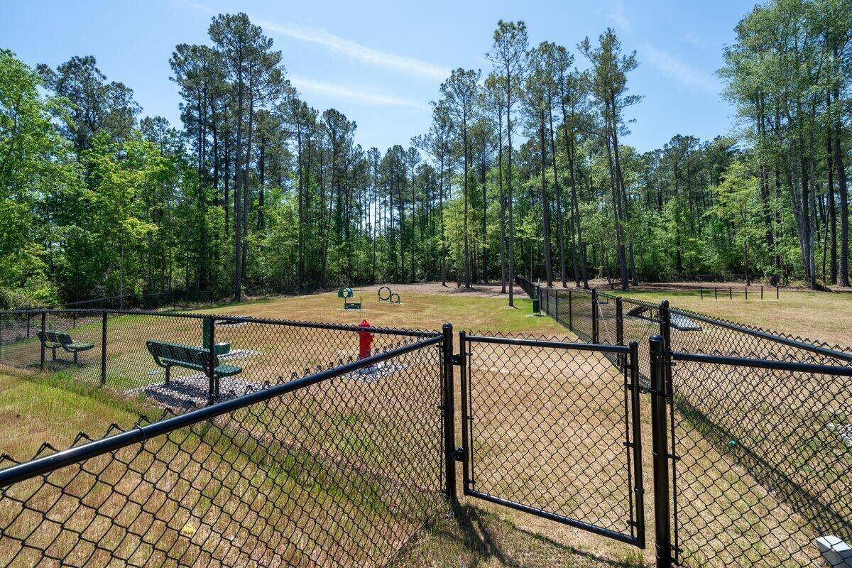 449 Switchgrass Drive