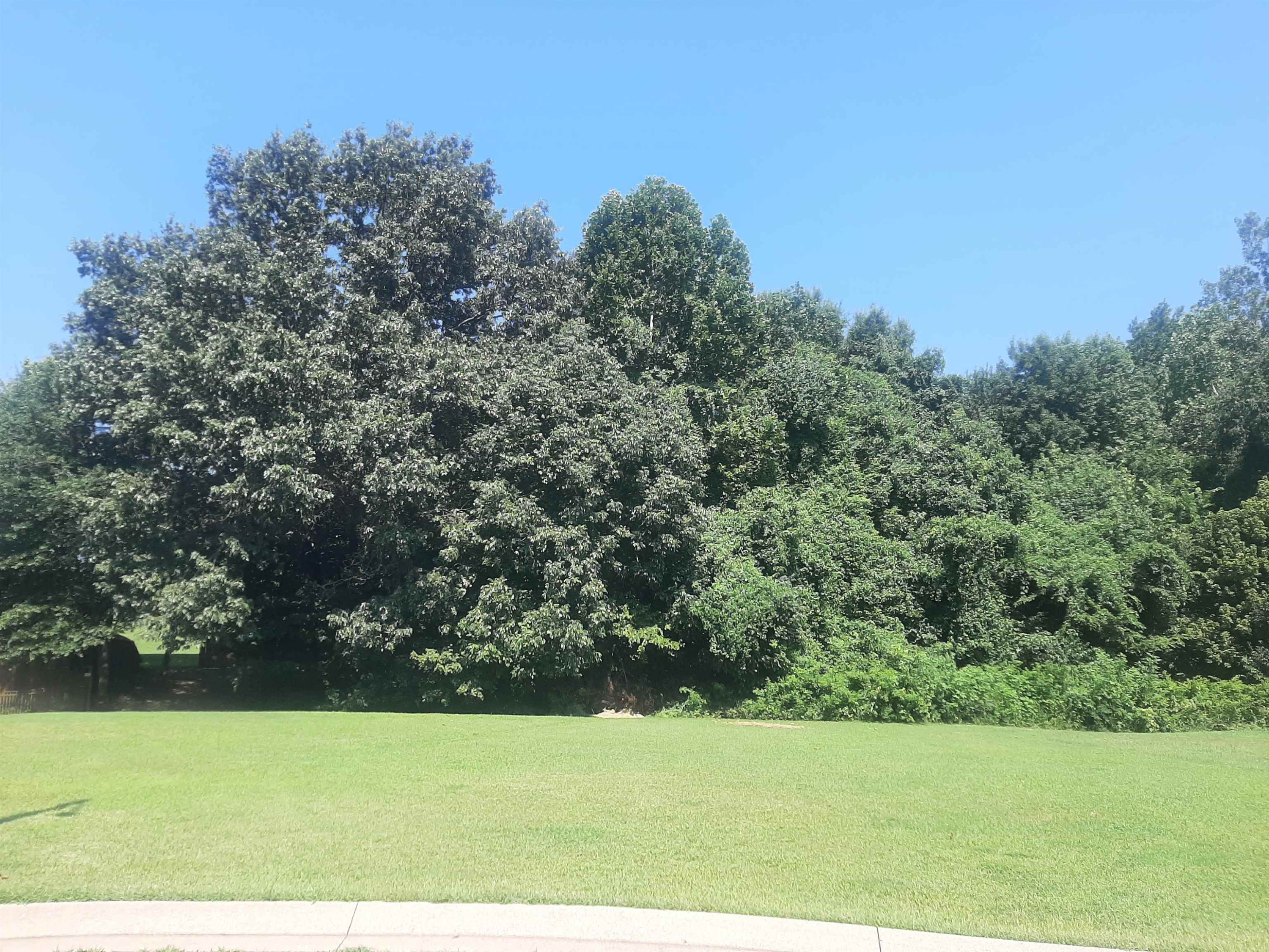 102 Westwood Cove