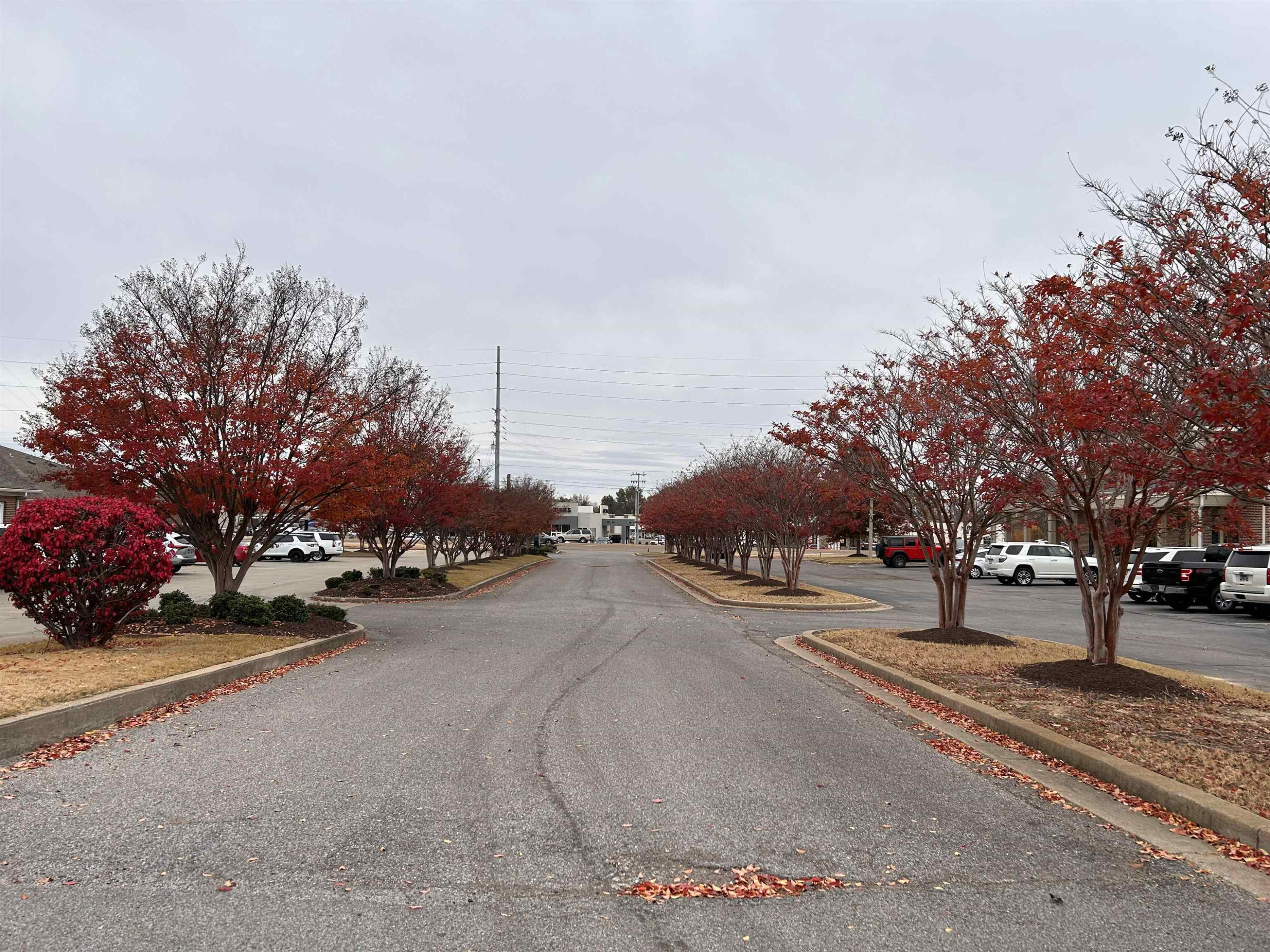 Lot 7 Parr Avenue