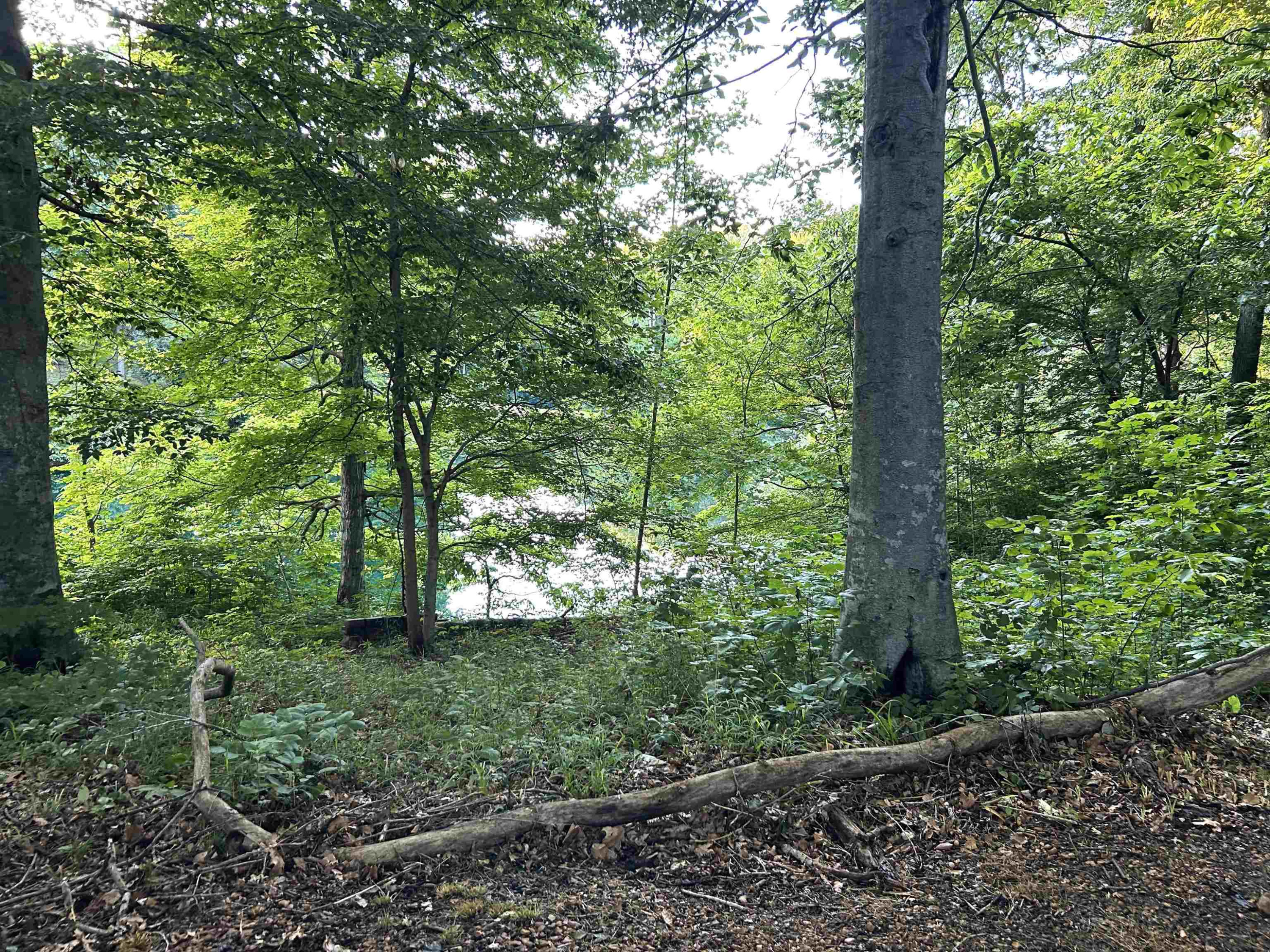 835 Oak Ridge Road
