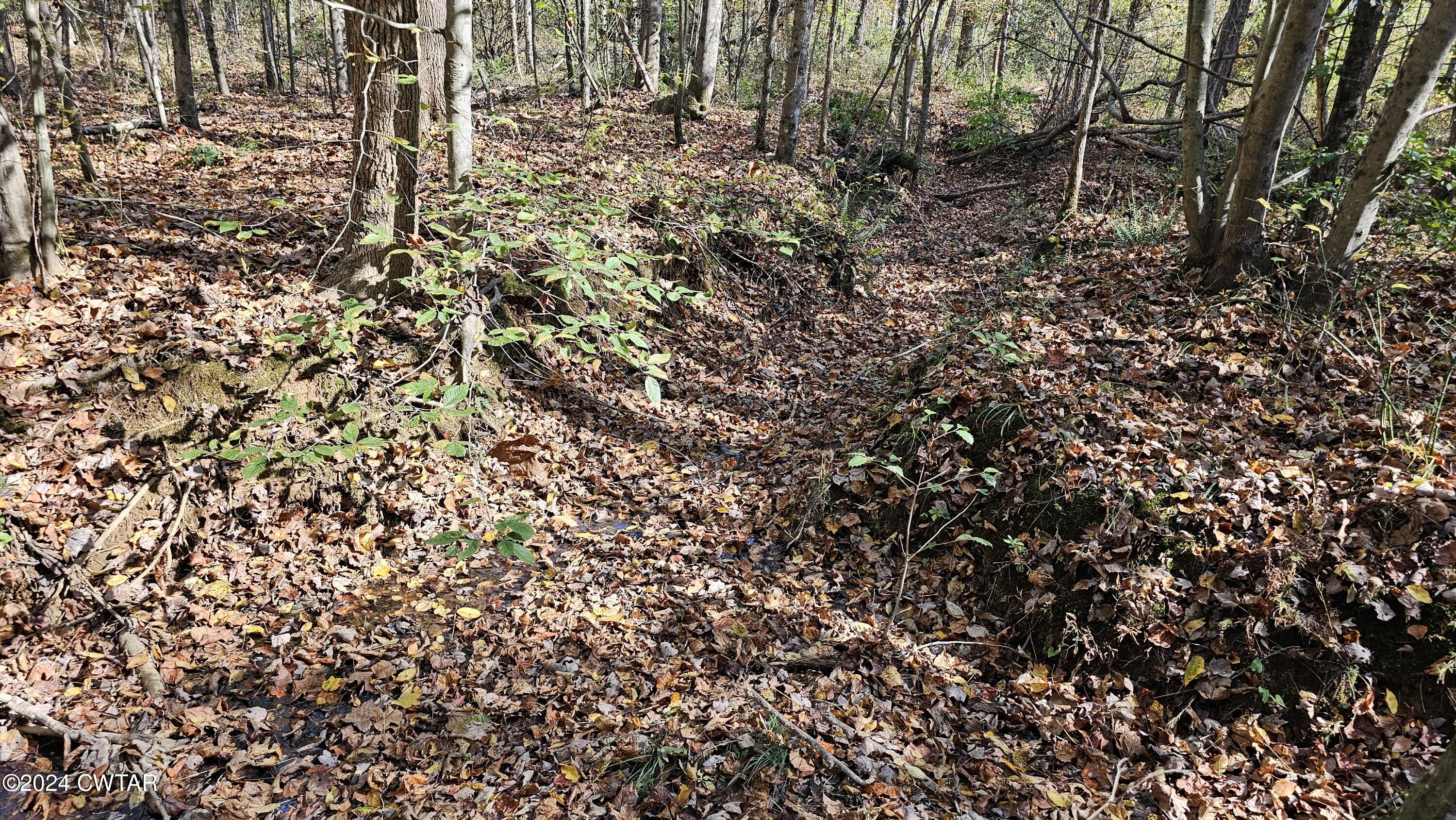 240 Mountain Creek Road