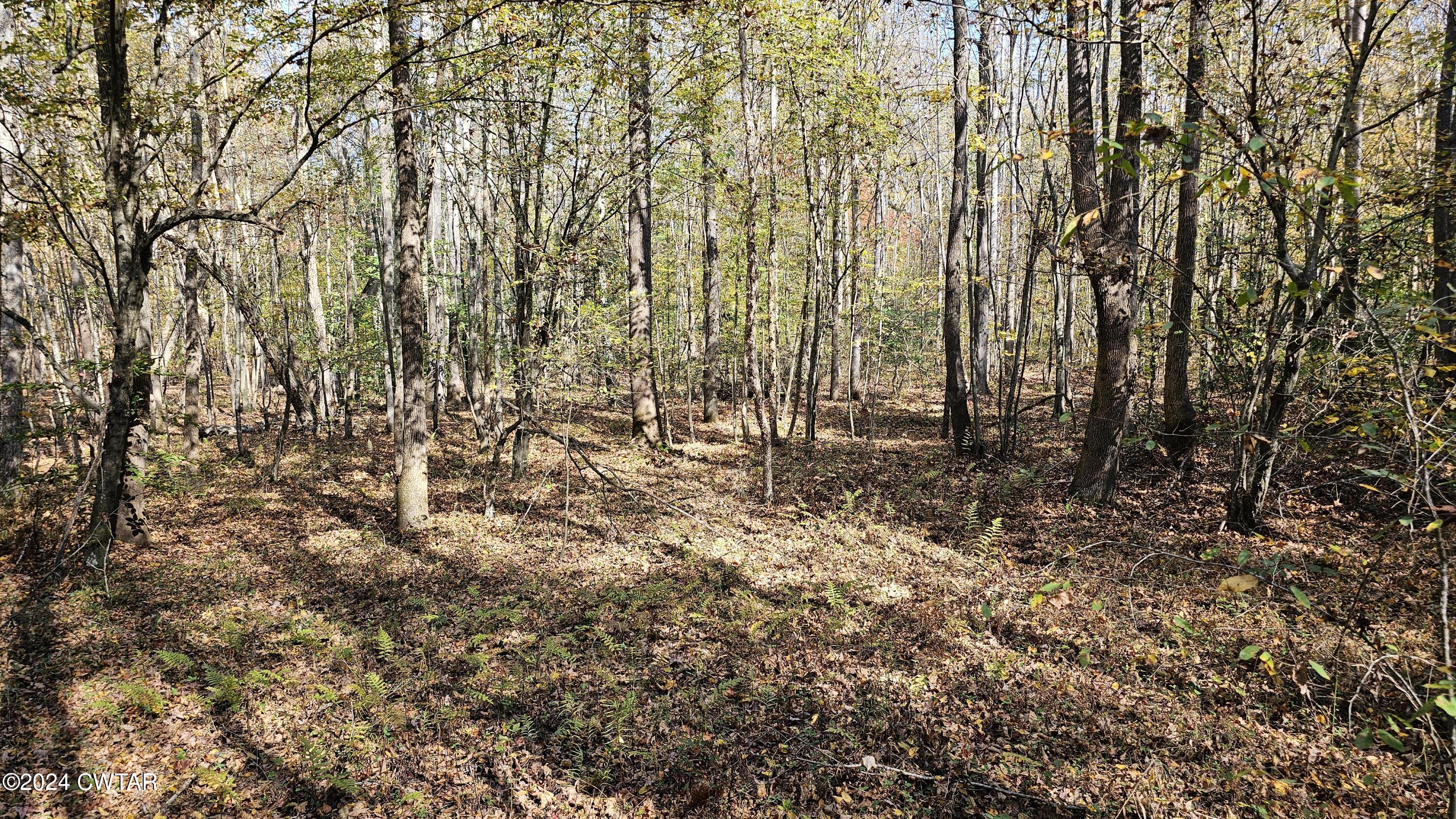 240 Mountain Creek Road