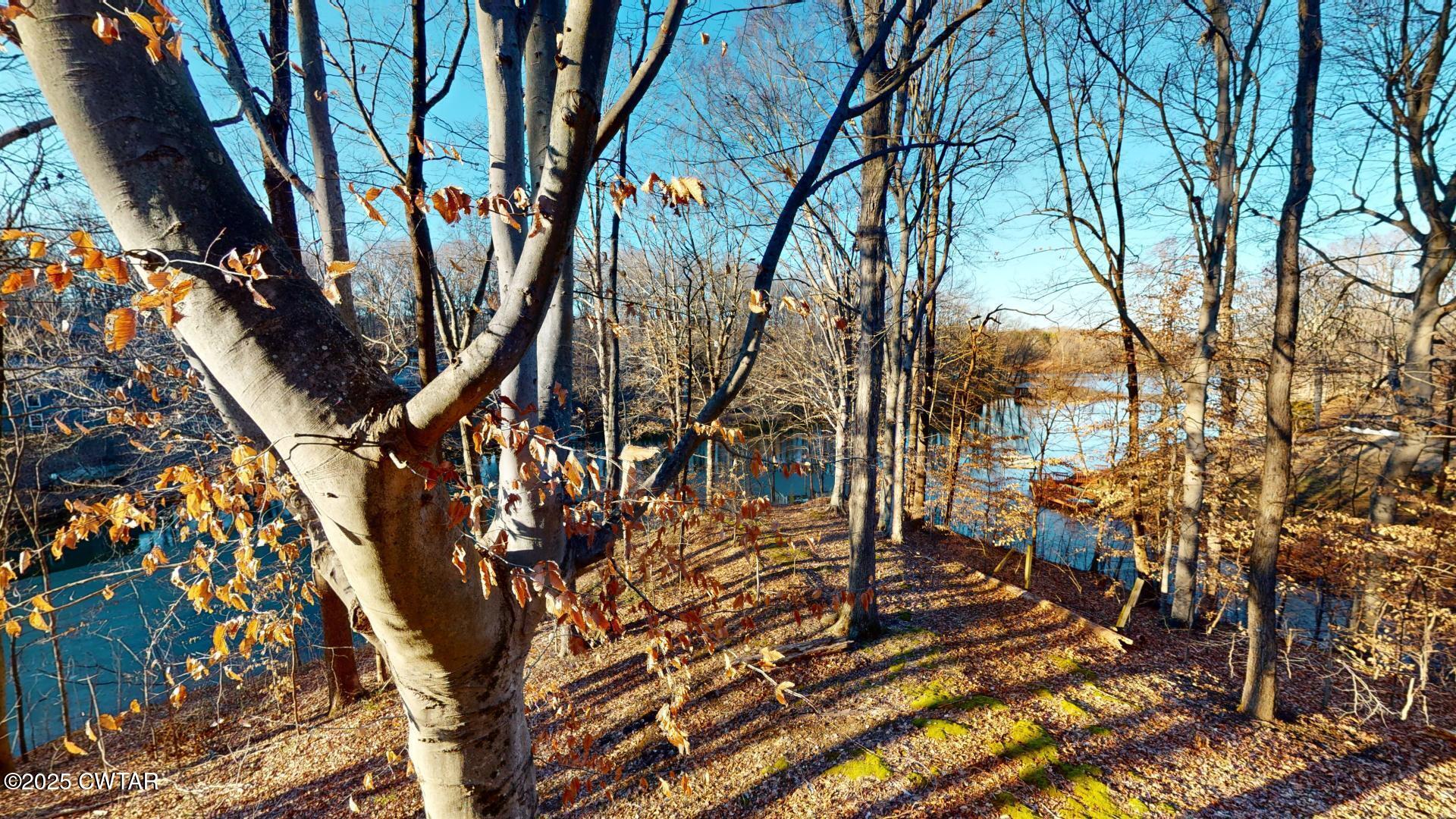 44 Birch Lane