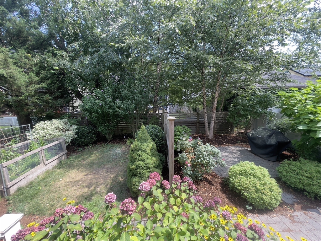 82 Alpine Street # 82