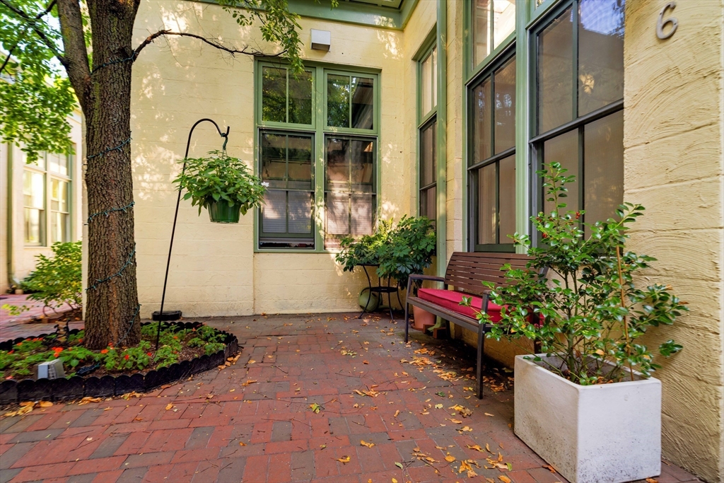 201 Brookline Street # 6
