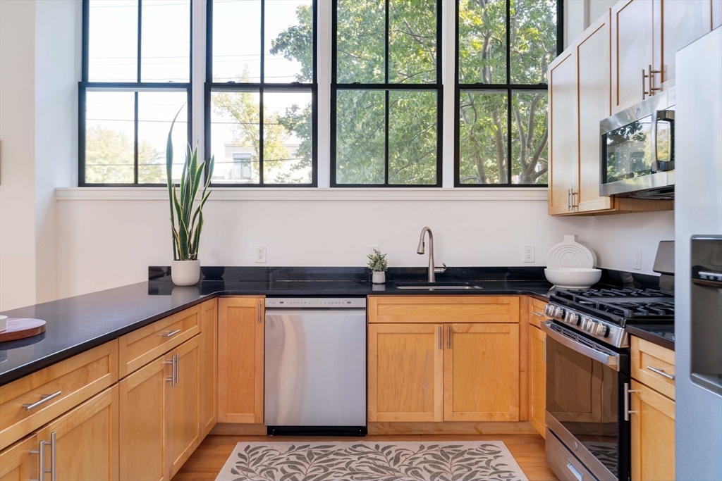 201 Brookline Street # 6