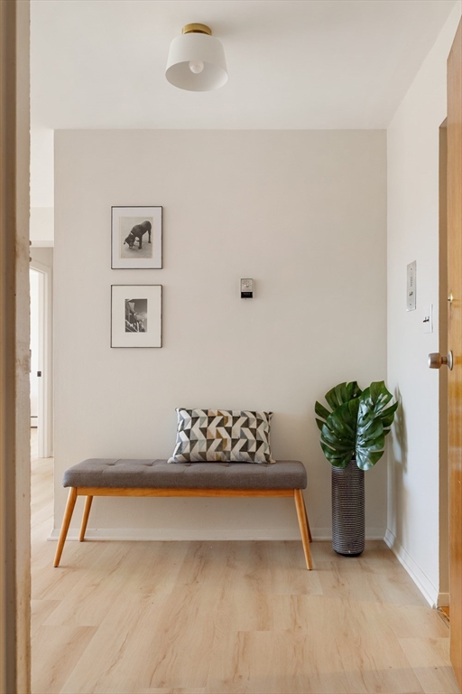 287 Harvard Street # 60