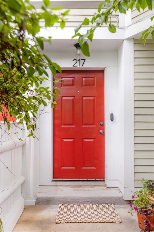 217 Hamilton Street # 217