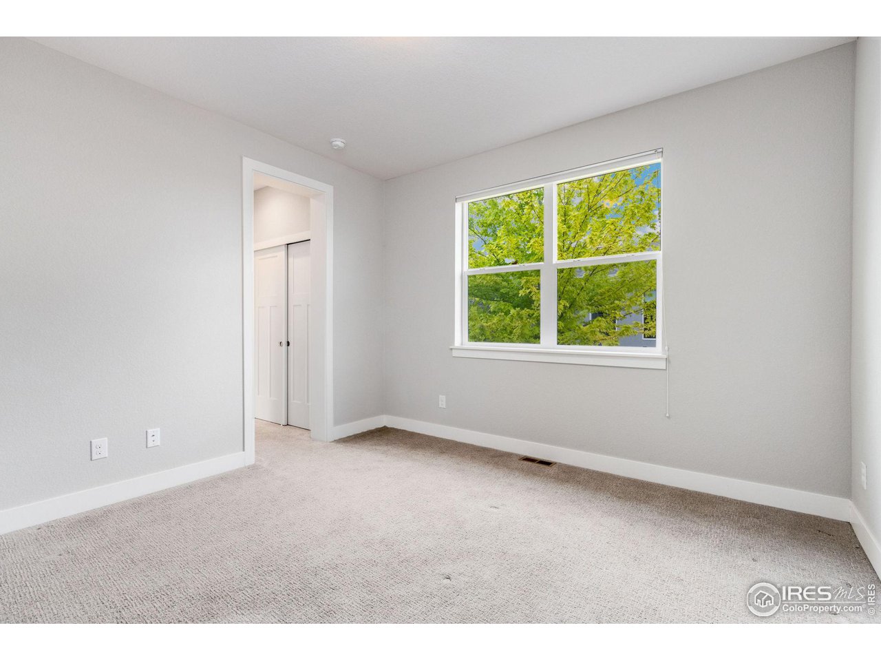 2536 Bluestem Willow Dr