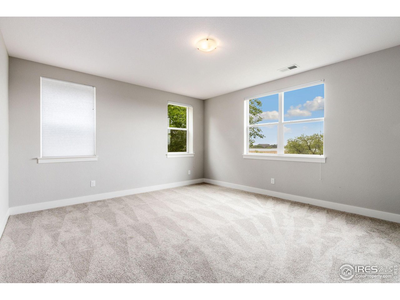 2536 Bluestem Willow Dr