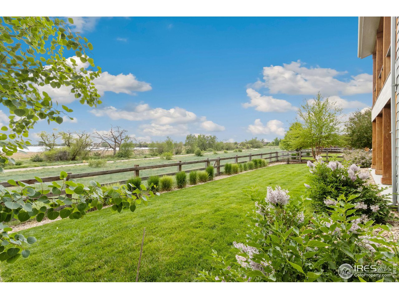 2536 Bluestem Willow Dr