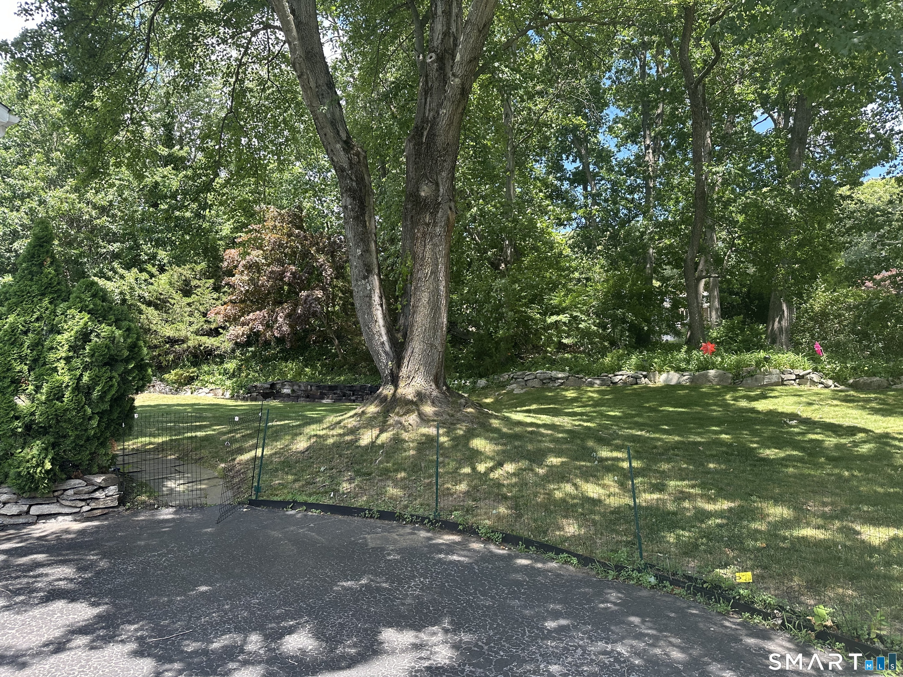 10 Donohue Drive