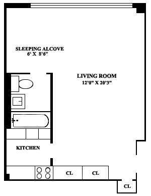 335 E 51st Street 10F