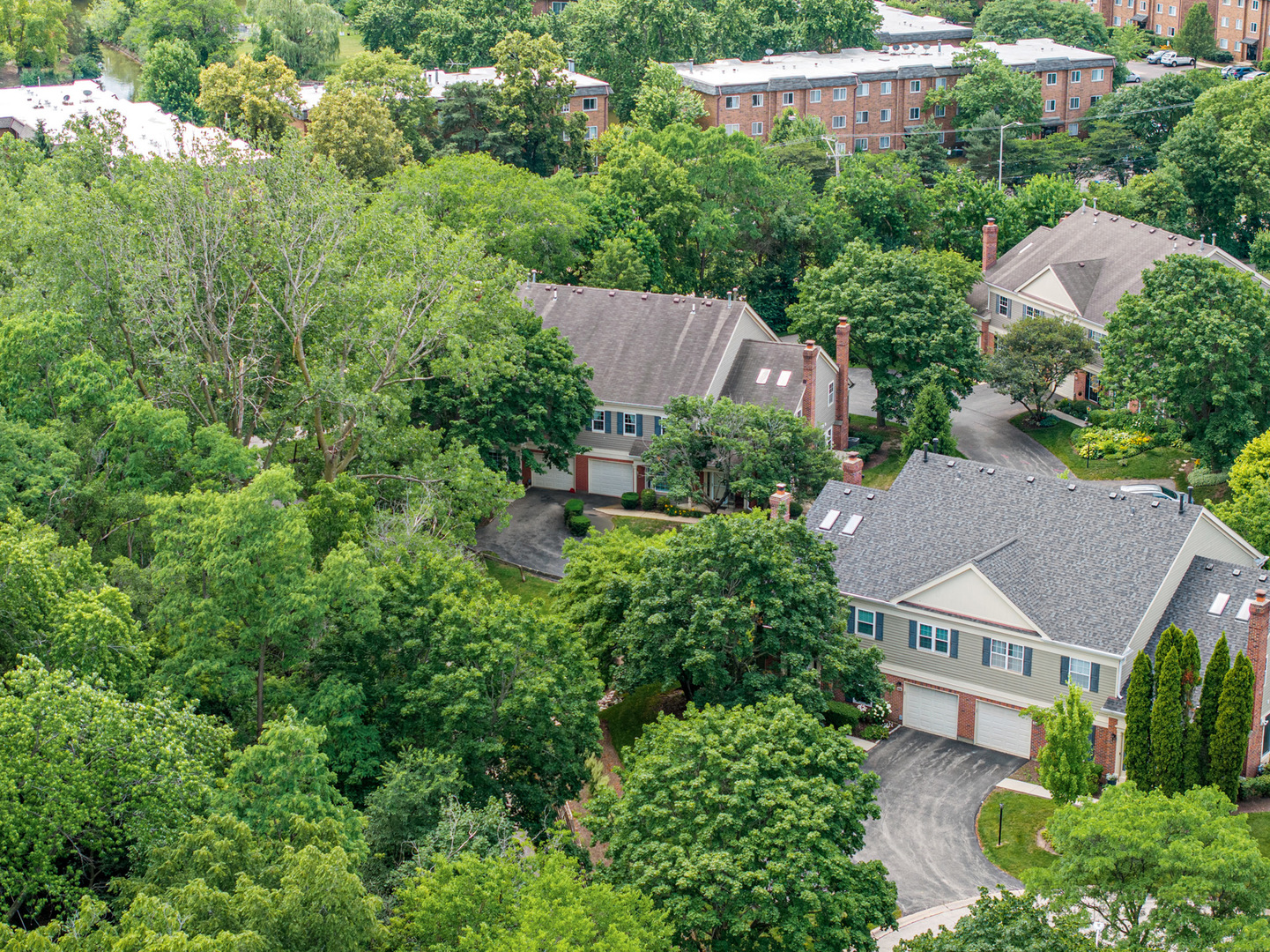 223 New Bridge Court