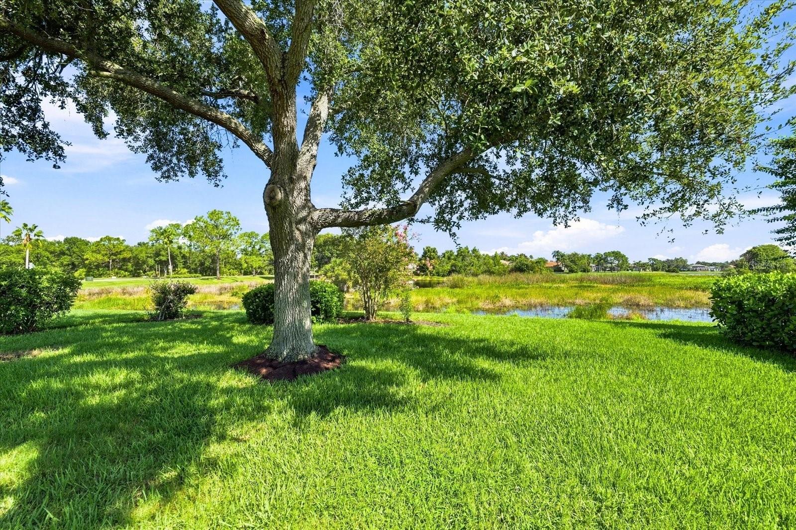 10209 SILVERADO CIR