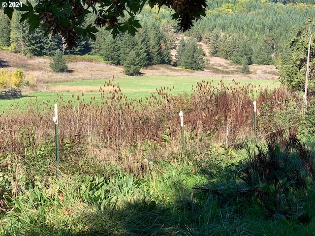 37811 UPPER CAMP CREEK RD