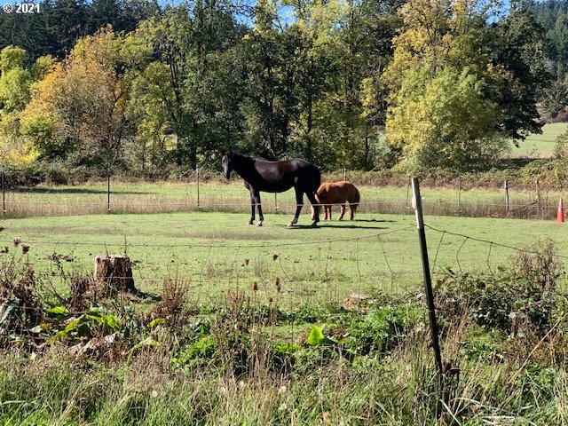 37811 UPPER CAMP CREEK RD