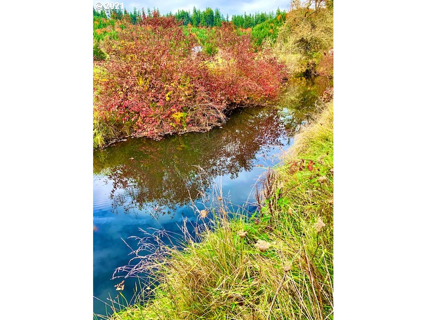 37811 UPPER CAMP CREEK RD