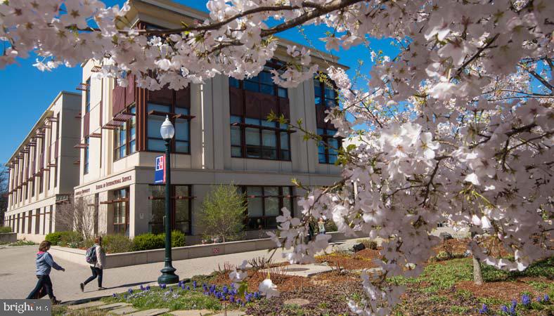 4301 MASSACHUSETTS AVE NW #3001