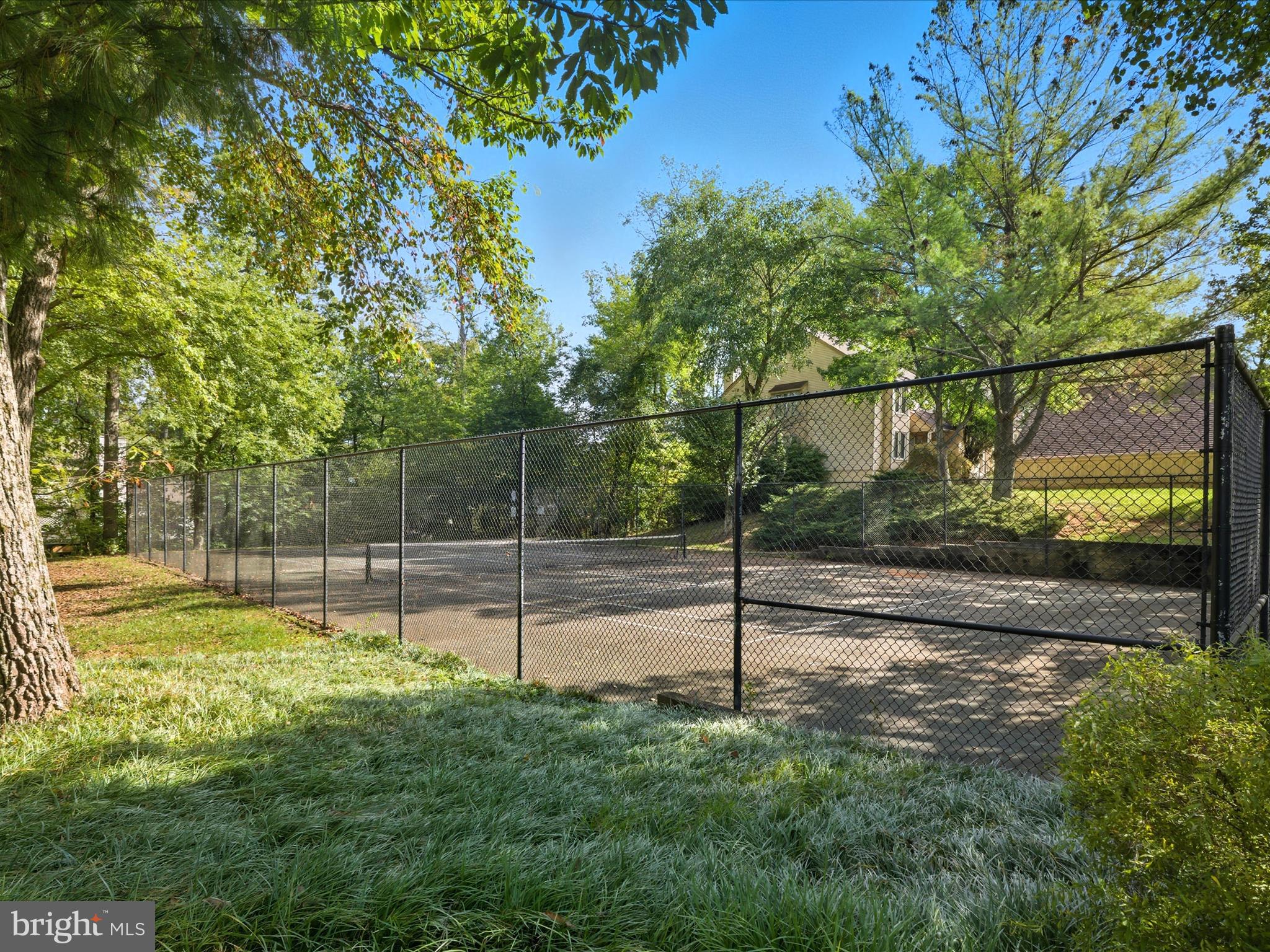 3878 ALDER WOODS COURT