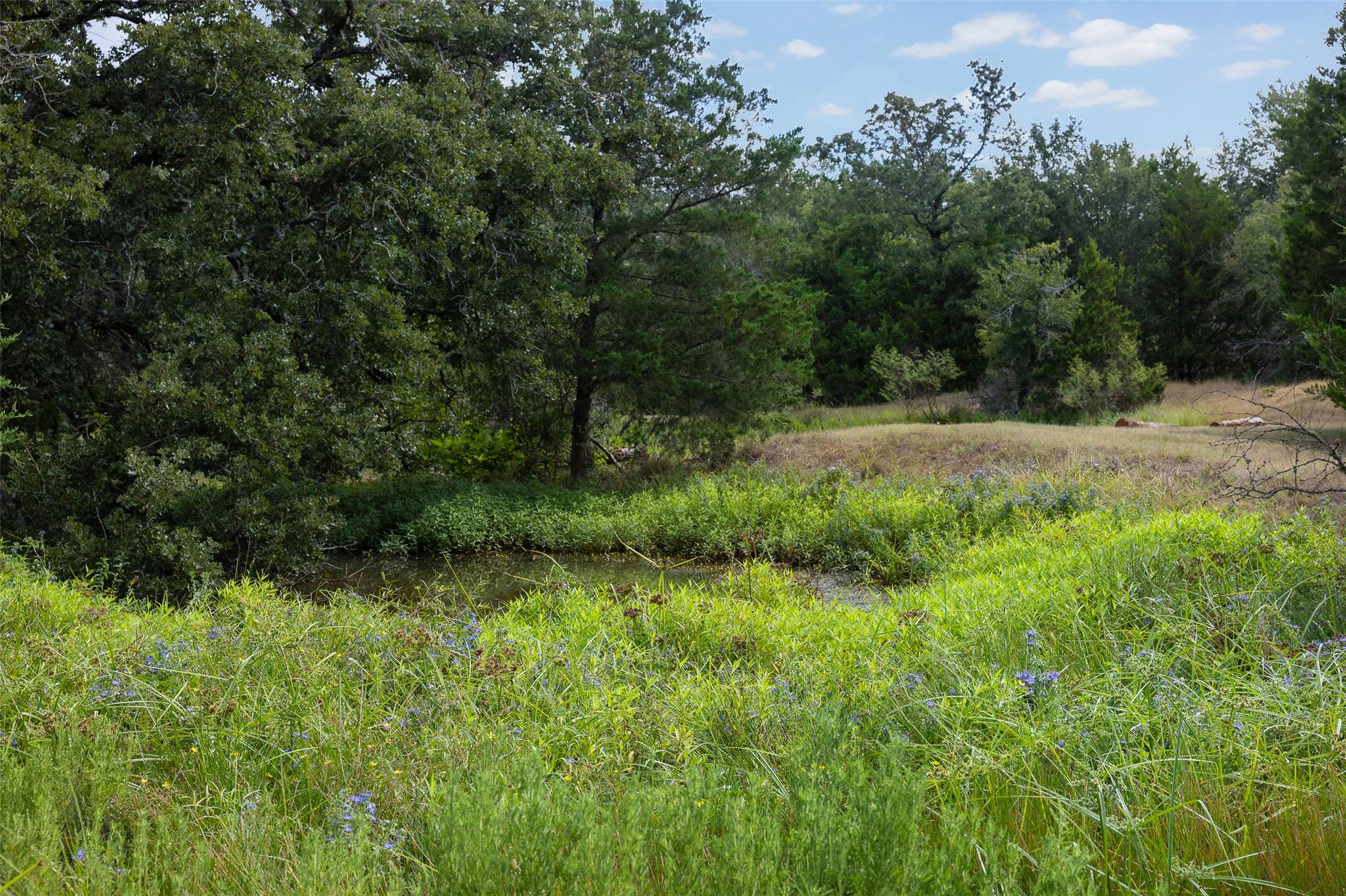 3555 County Road 430