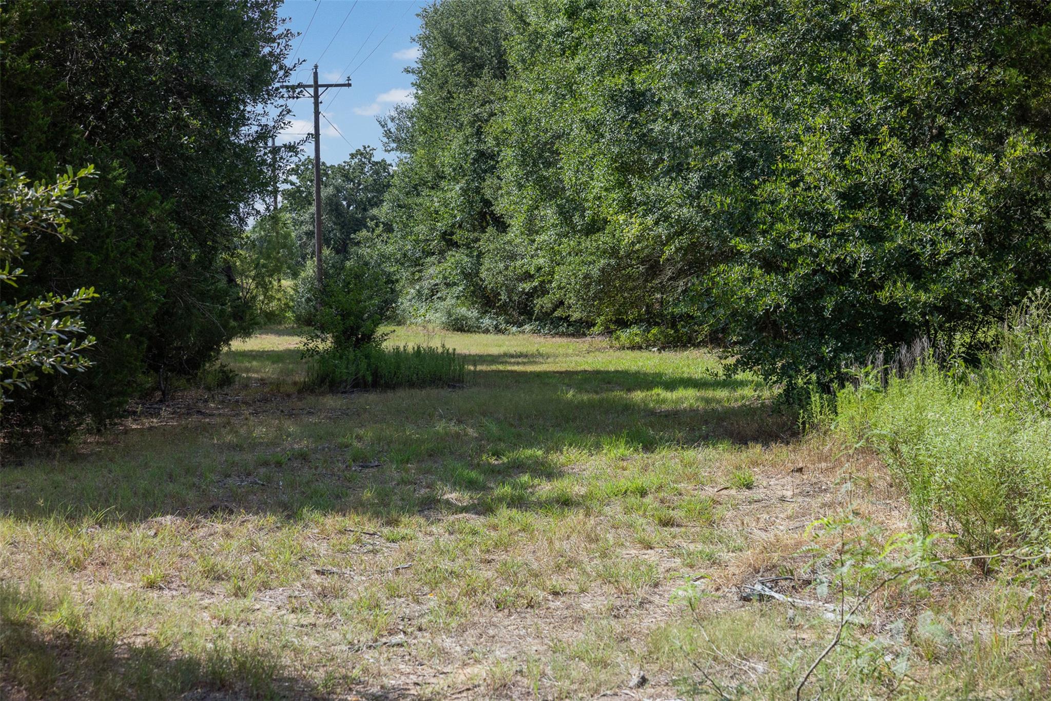 3555 County Road 430