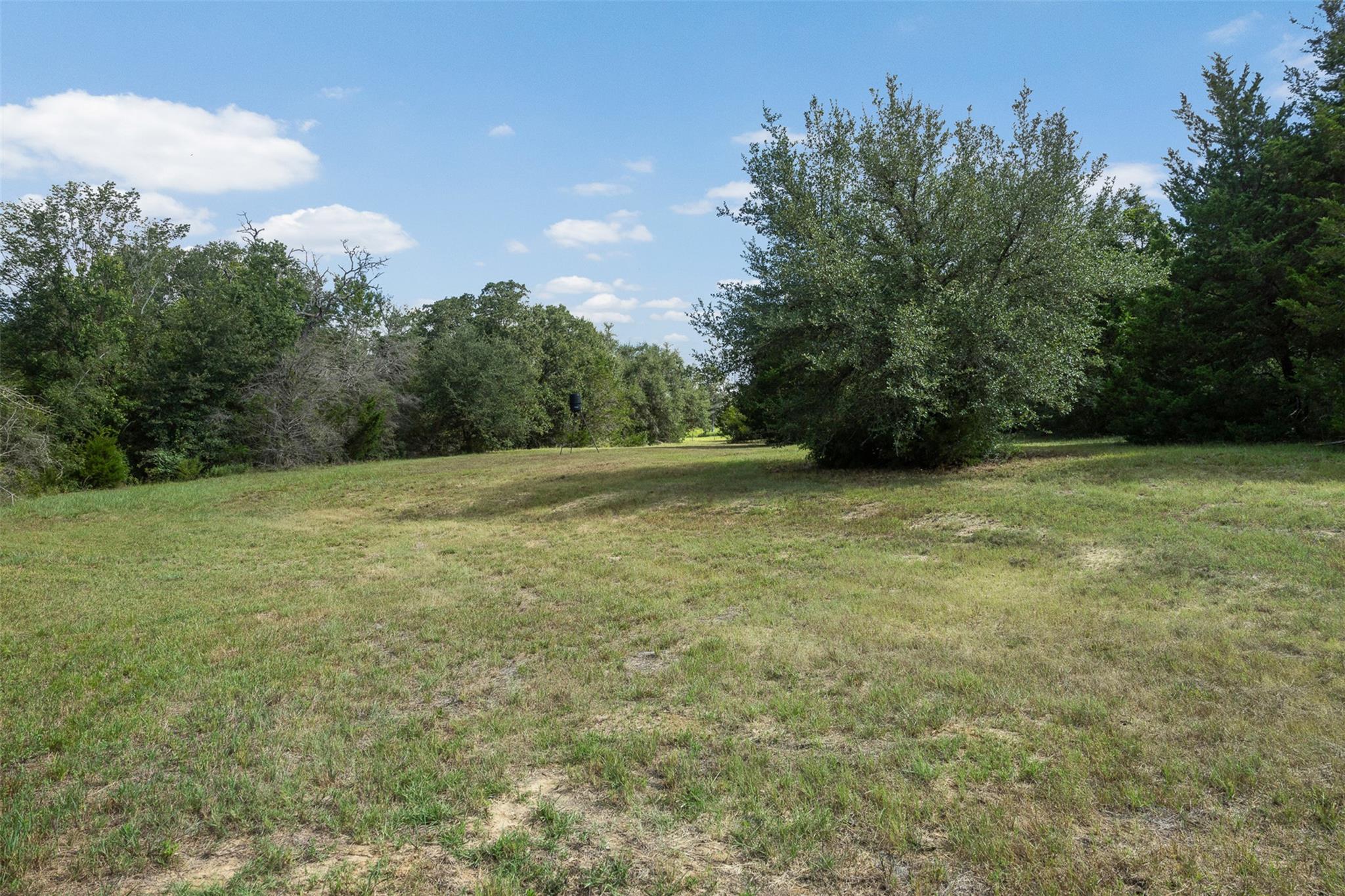 3555 County Road 430