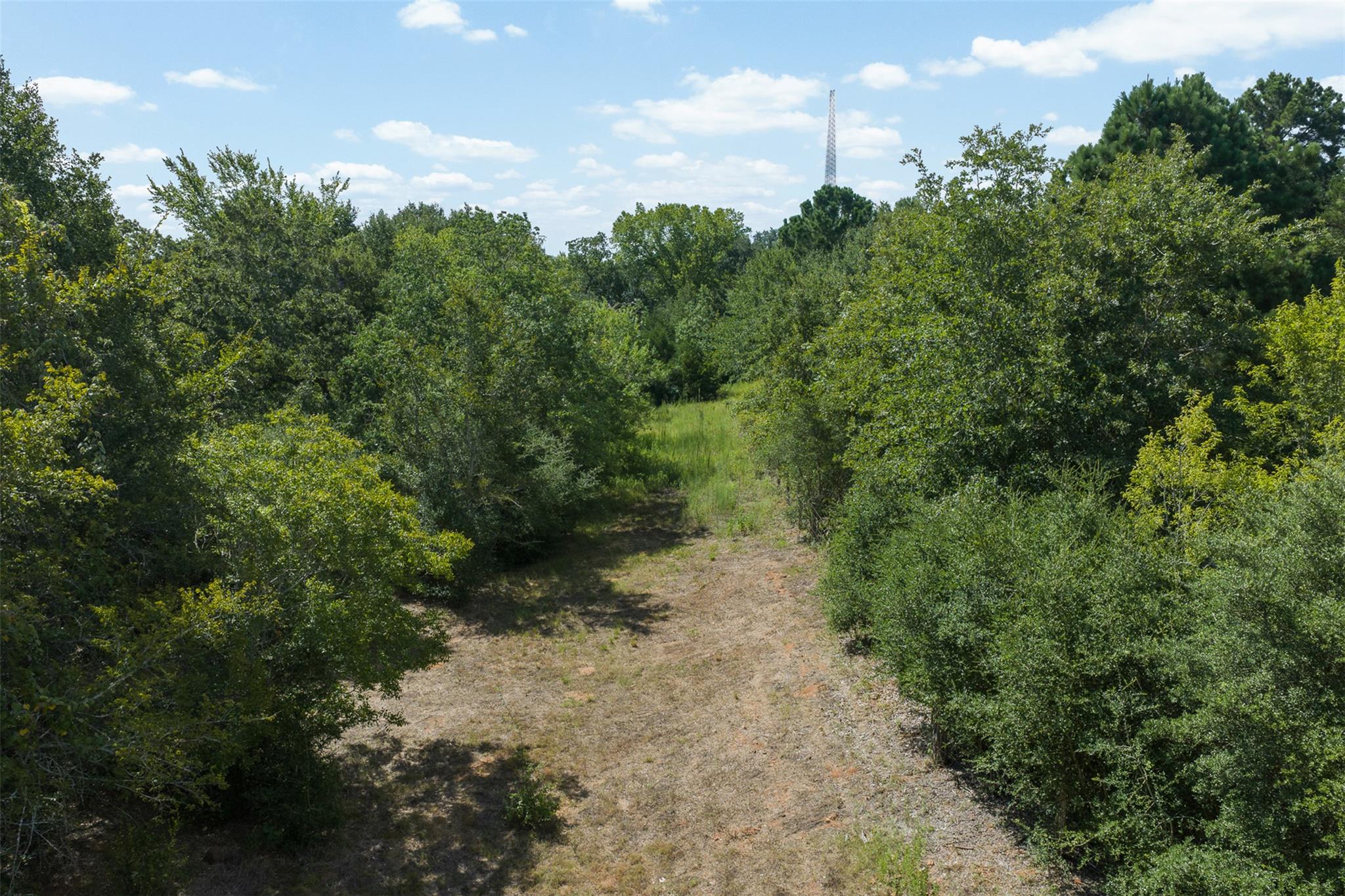 3555 County Road 430