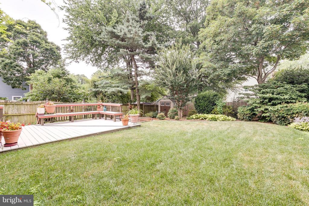 2404 Cameron Mills Rd