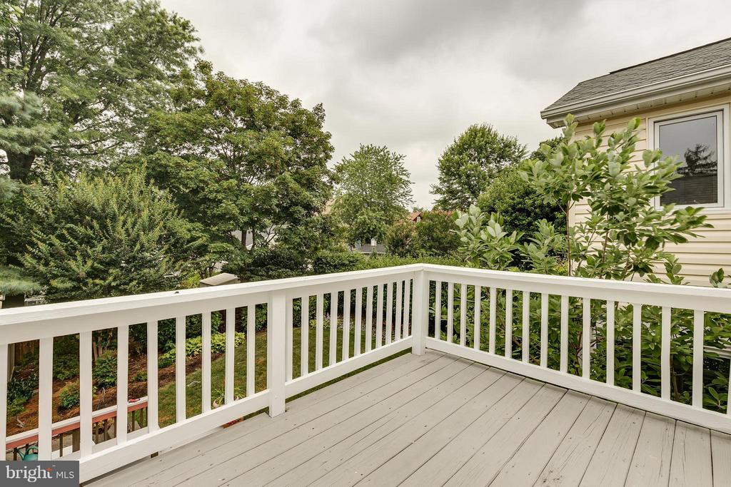2404 Cameron Mills Rd