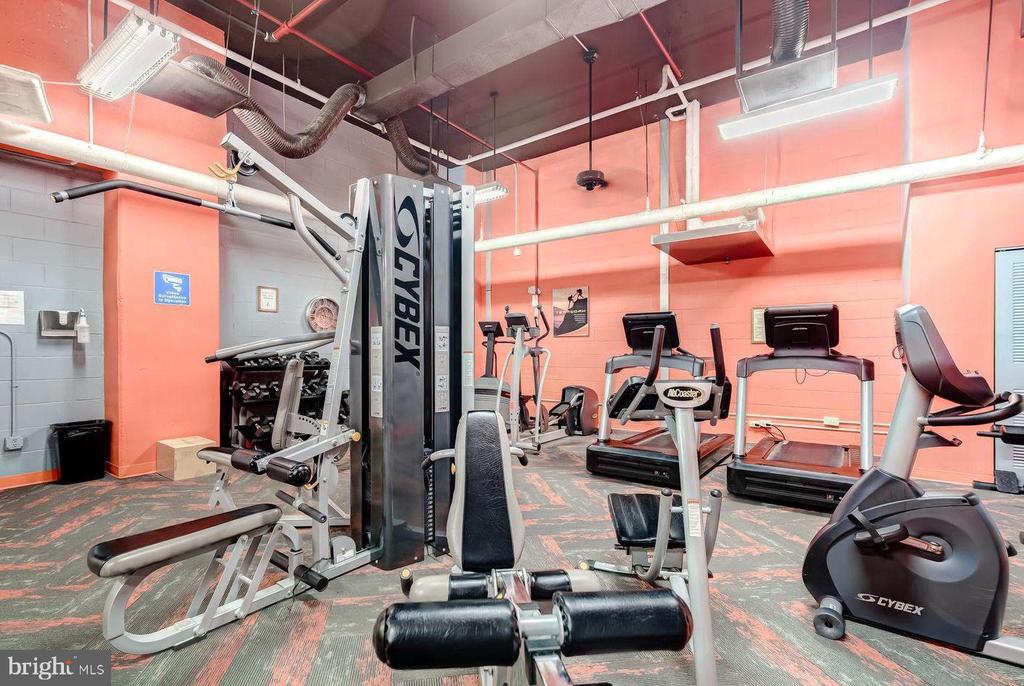 1225 MARTHA CUSTIS DRIVE Unit: 1503