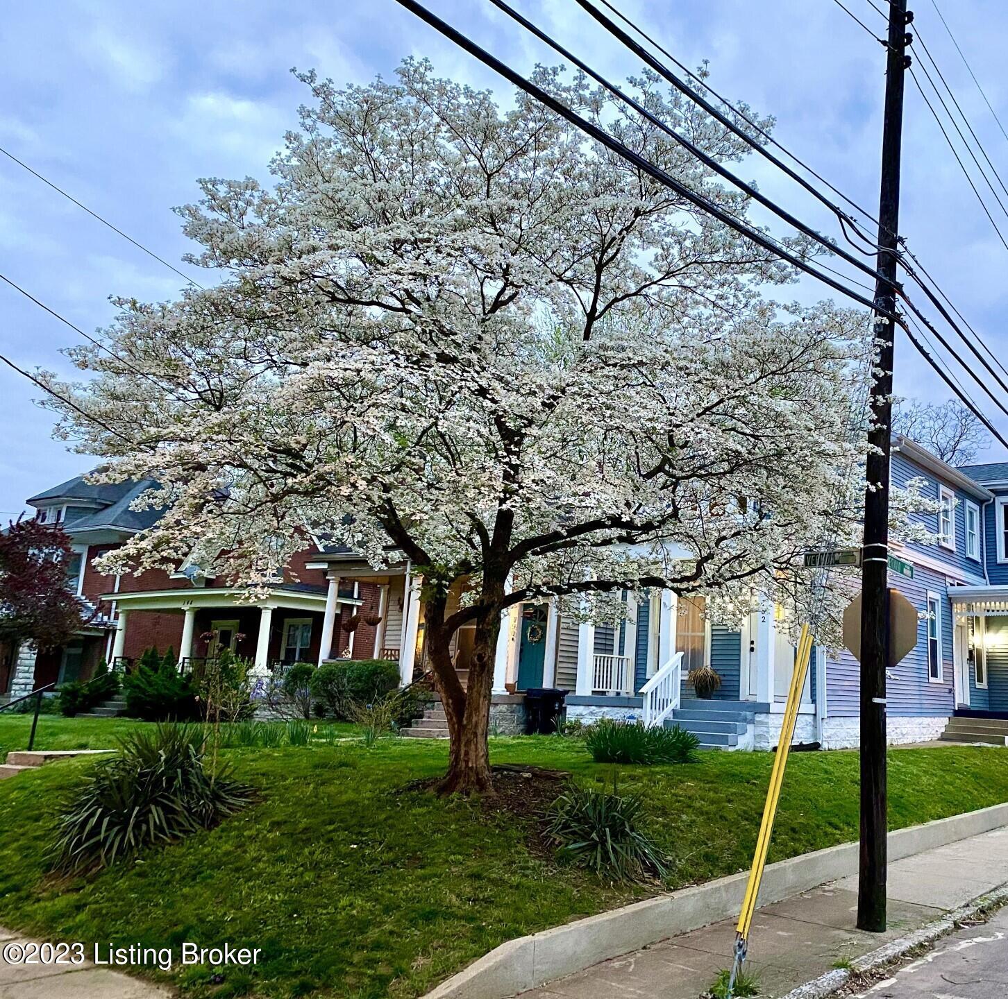 152 Vernon Ave