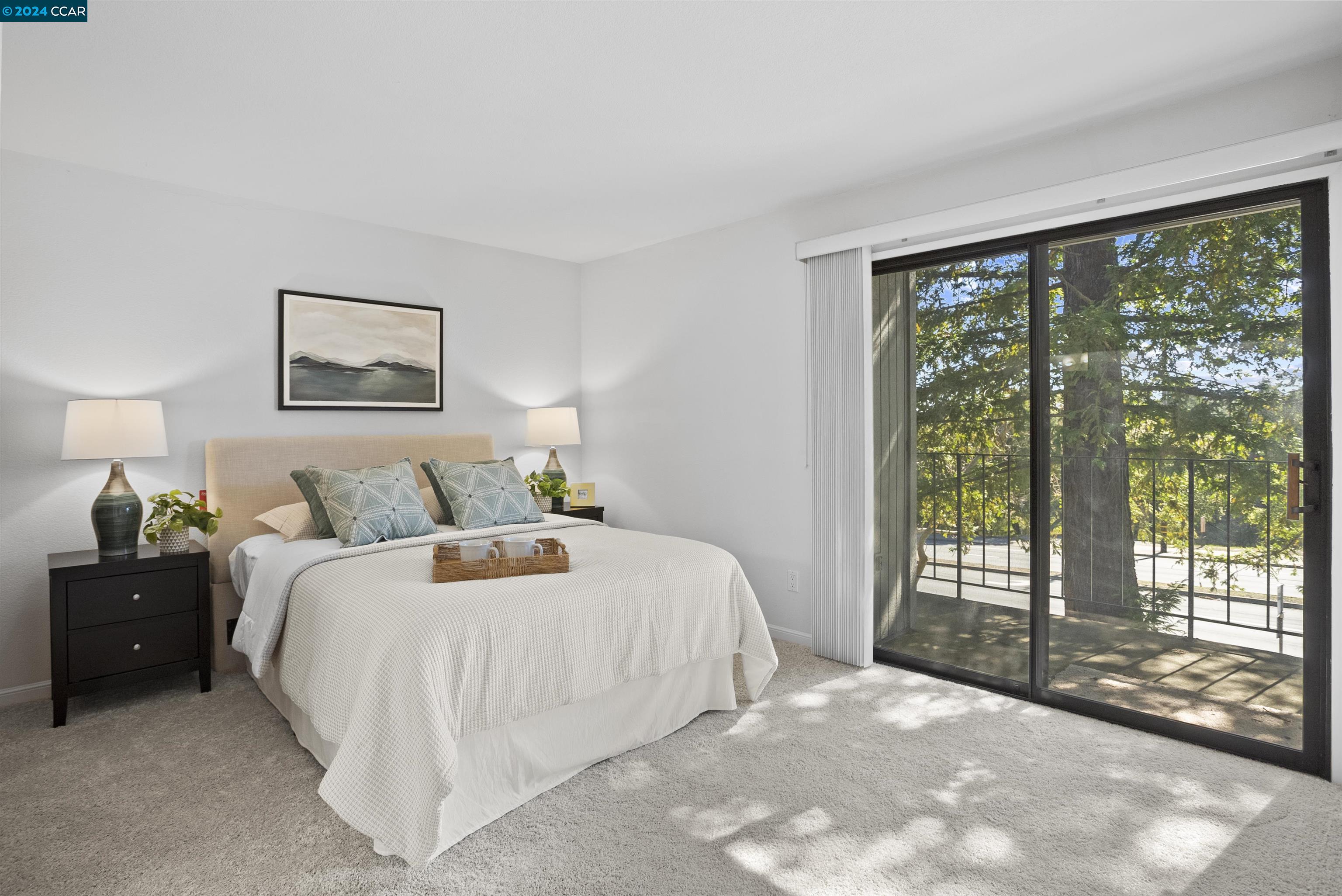 204 Buena Vida Ct, Martinez