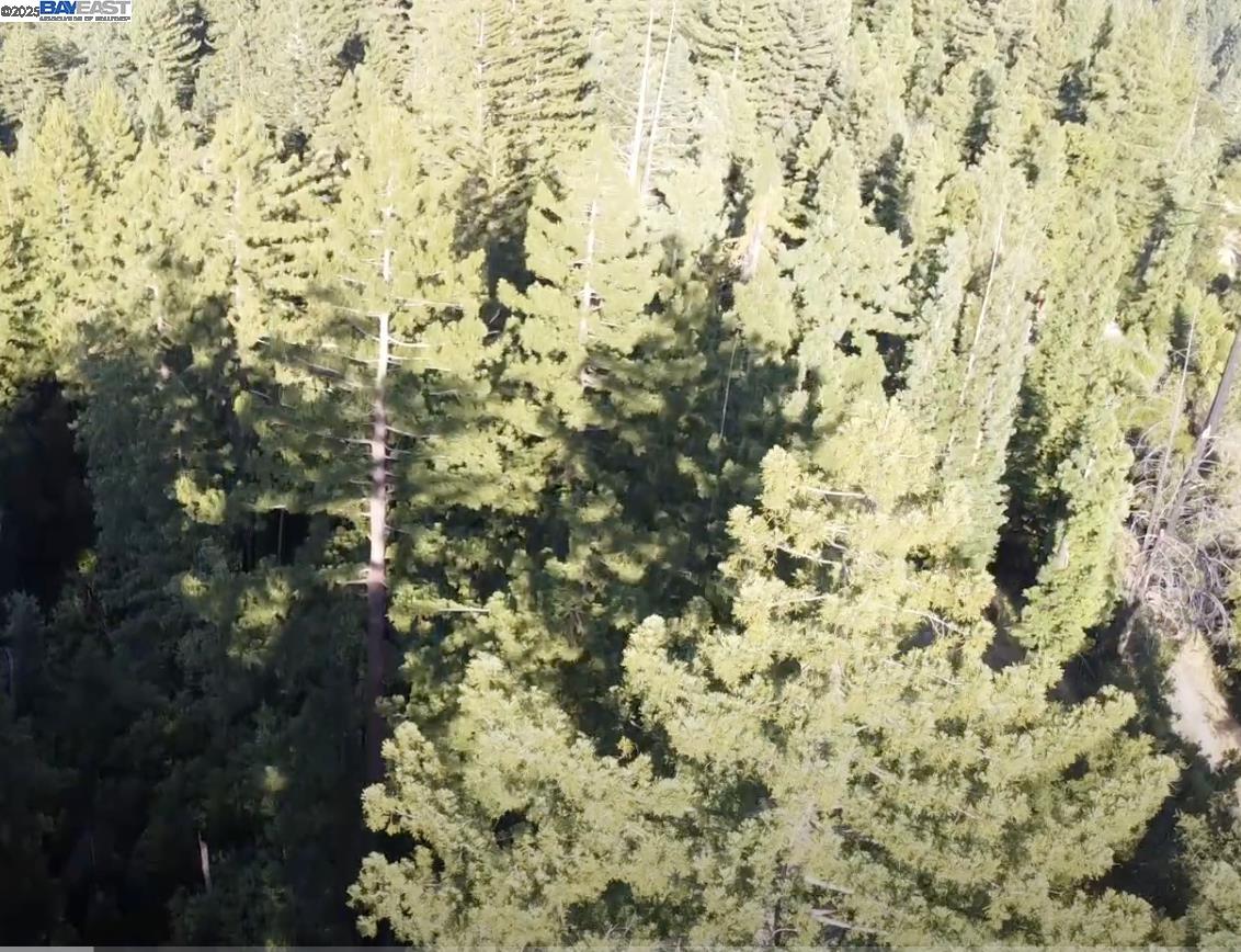 0 Dons Road, Boulder Creek