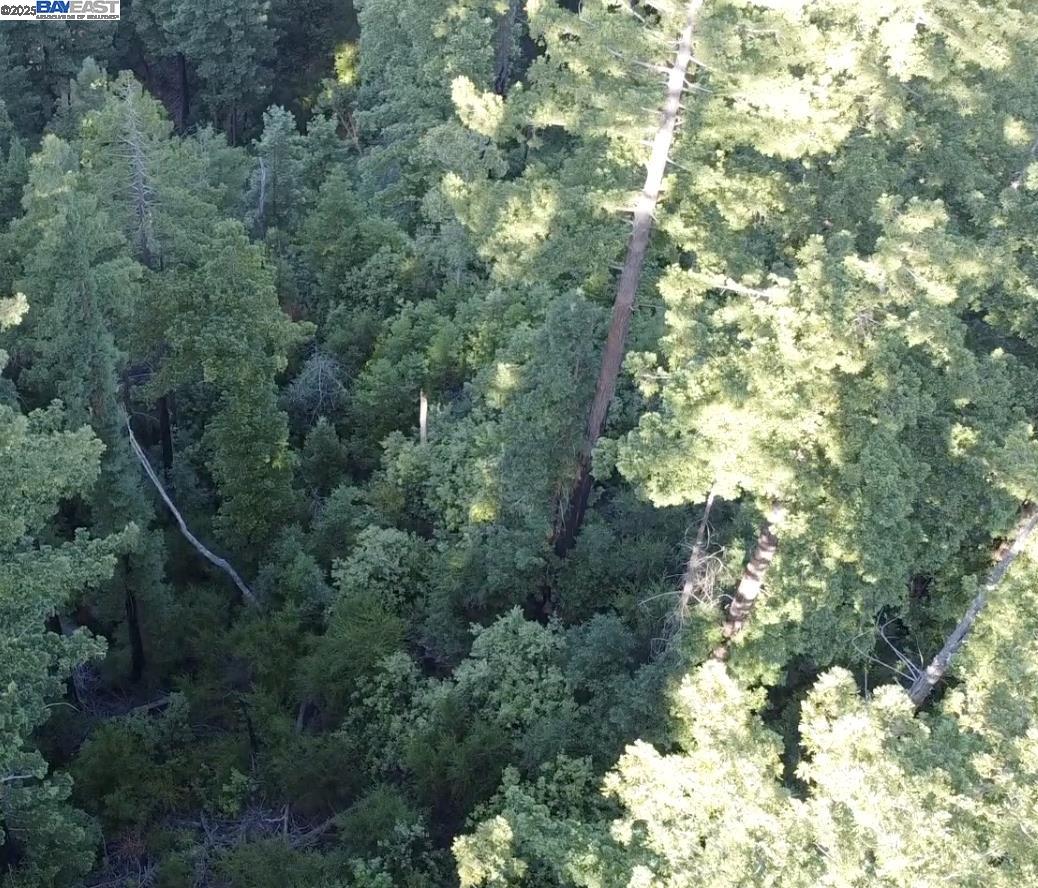 0 Dons Road, Boulder Creek